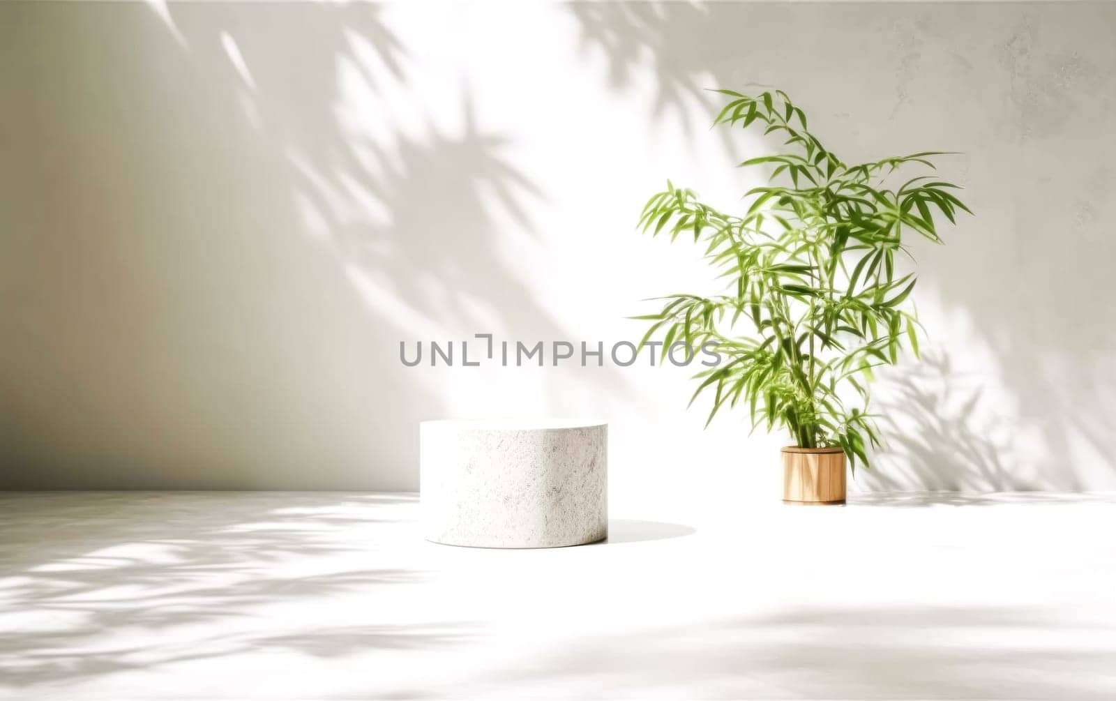 A white wall with a potted plant and a small white object, perfect as a background for photographing cosmetics.