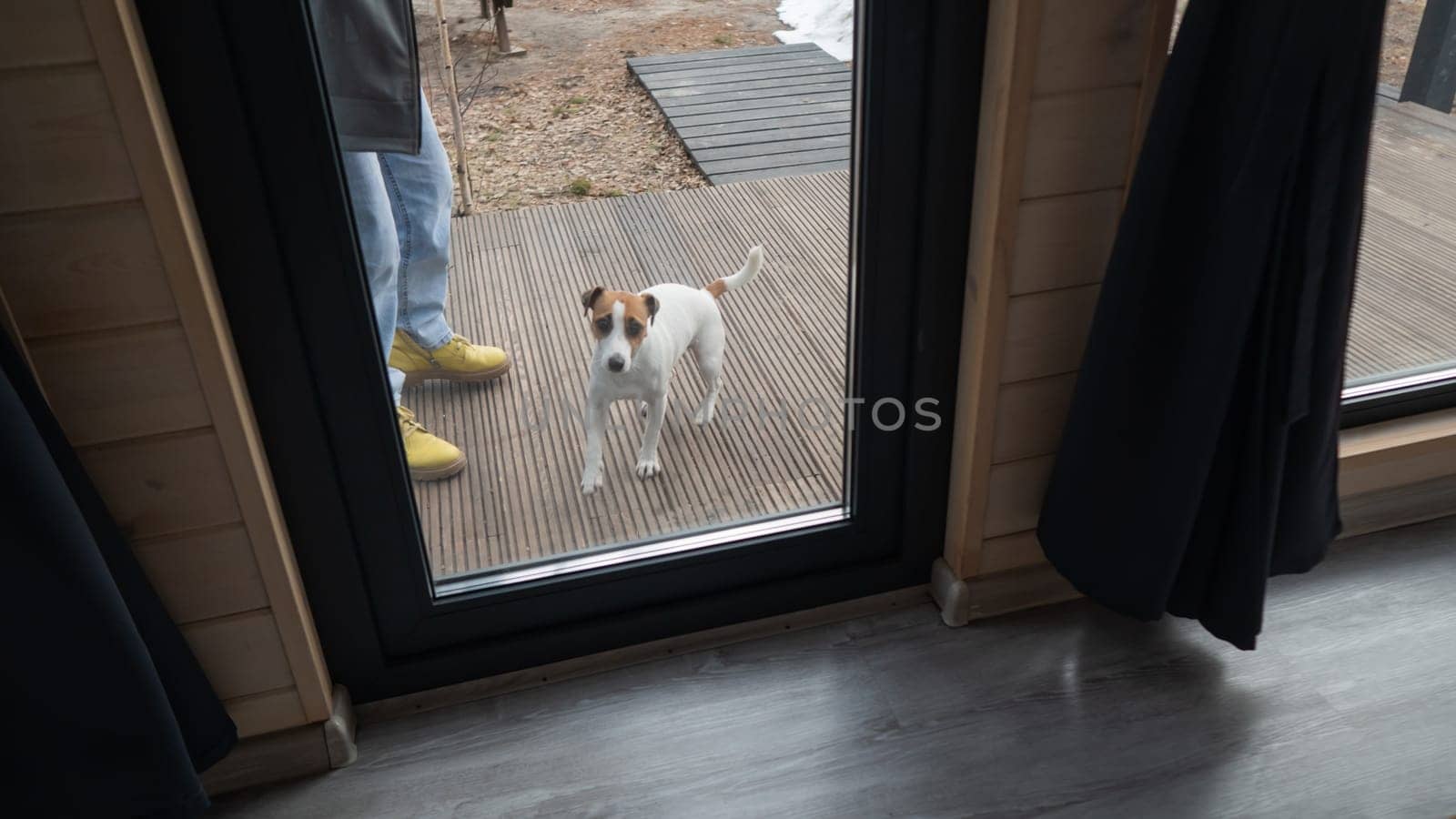 The dog stands at the patio window and asks to go inside the house. by mrwed54