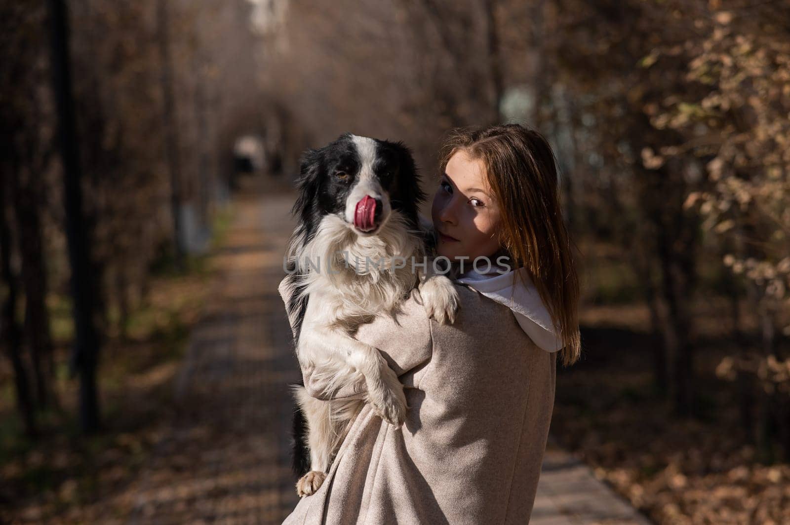 Caucasian woman holding a border collie in her arms while walking in the autumn park. Portrait of a girl with a dog