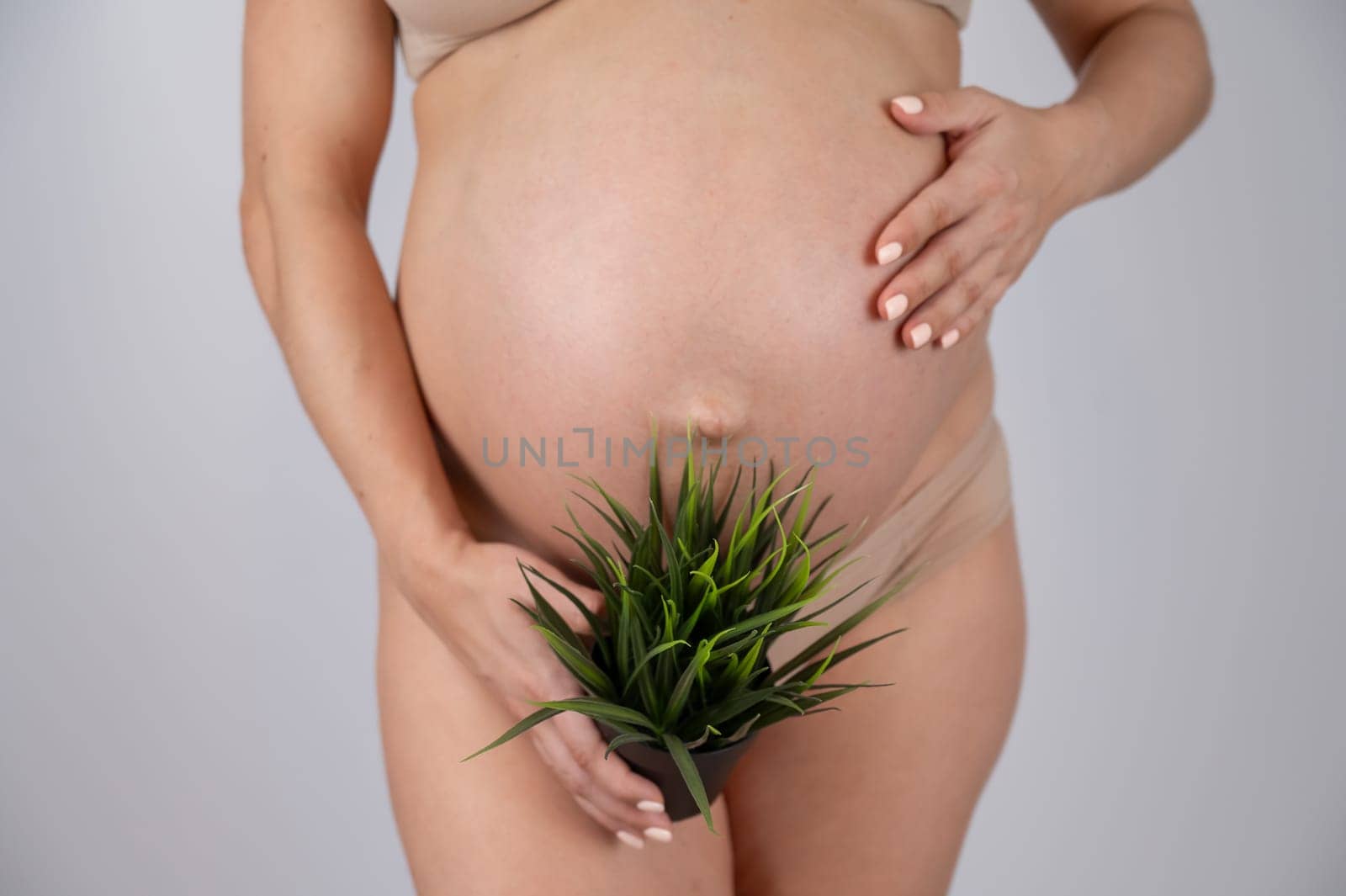 Faceless pregnant woman holding a plant. Metaphor for epilation of the bikini area