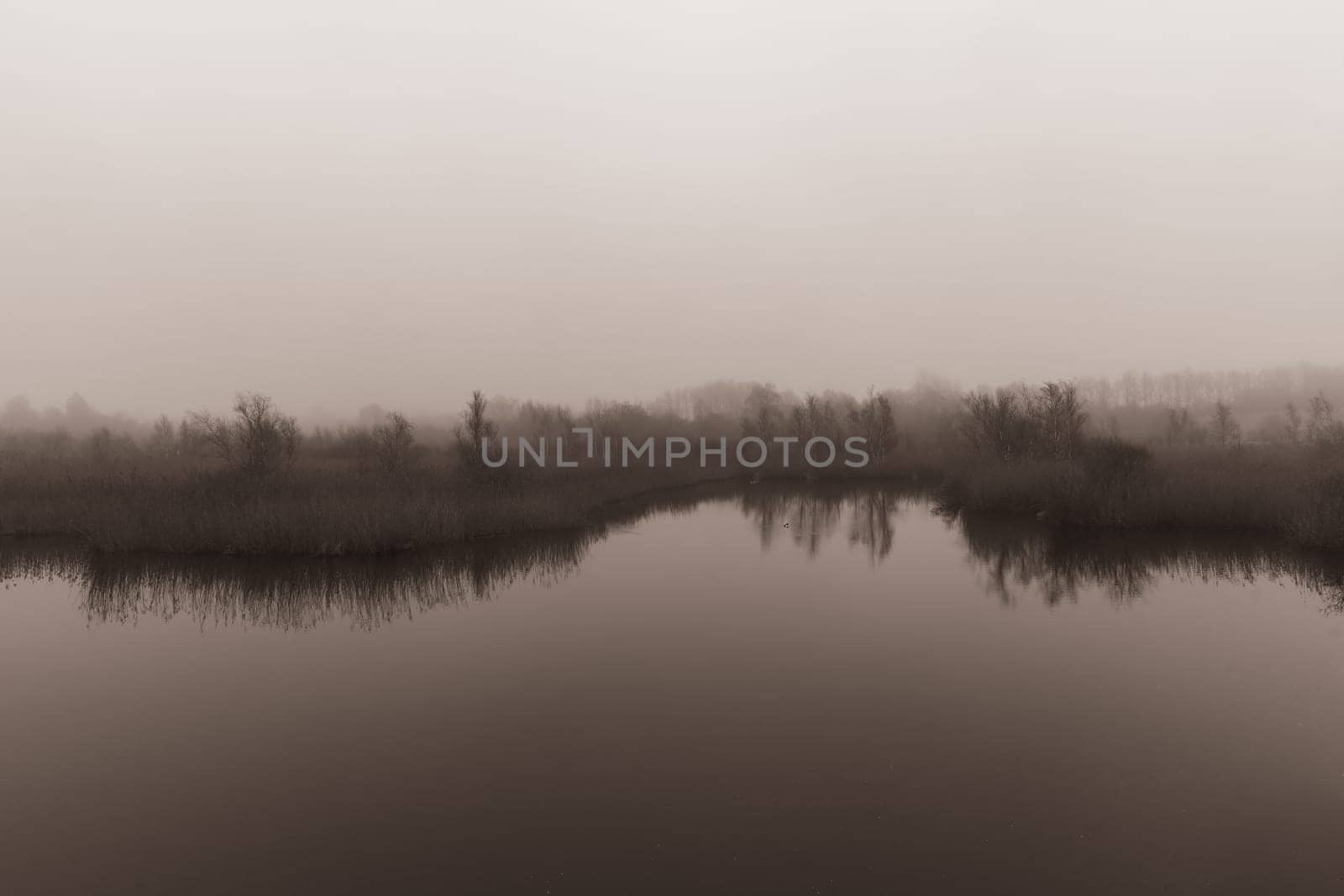 A natural landscape with a lake, tall grass, and trees under a cloudy sky on a foggy morning.