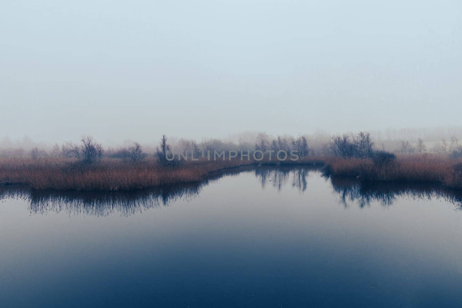 A natural landscape with a lake, tall grass, and trees under a cloudy sky on a foggy morning.
