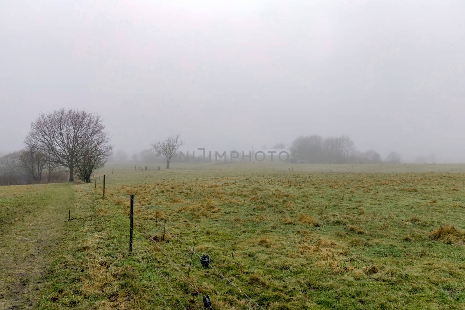 Natural autumn landscape of a foggy morning in the countryside. Foggy farm field.