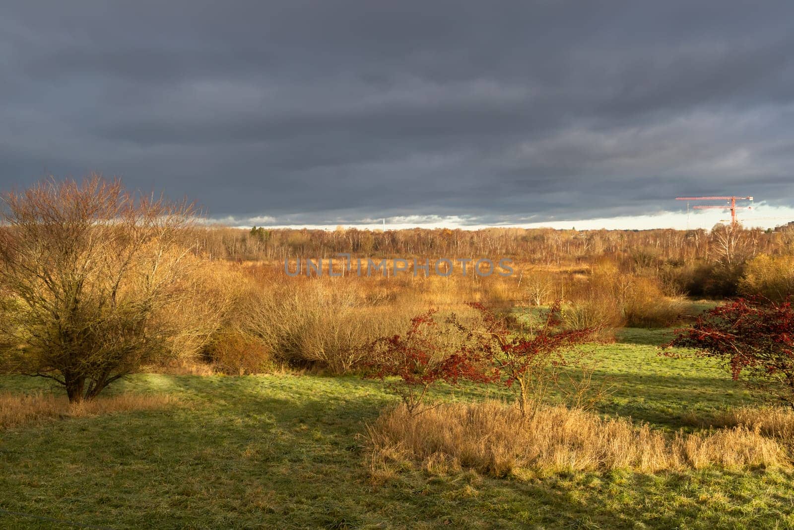 Beautiful arial view of the autumn landscape with a dramatic rain cloud and yellow trees illuminated by the sun.