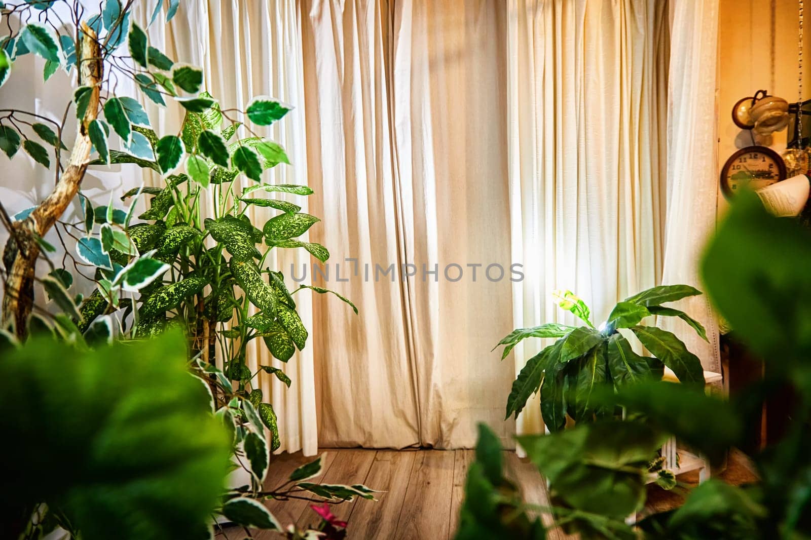 Living room with fabric curtains, home flowers, lighting. Loft style in interior. Background and location for photo shoot