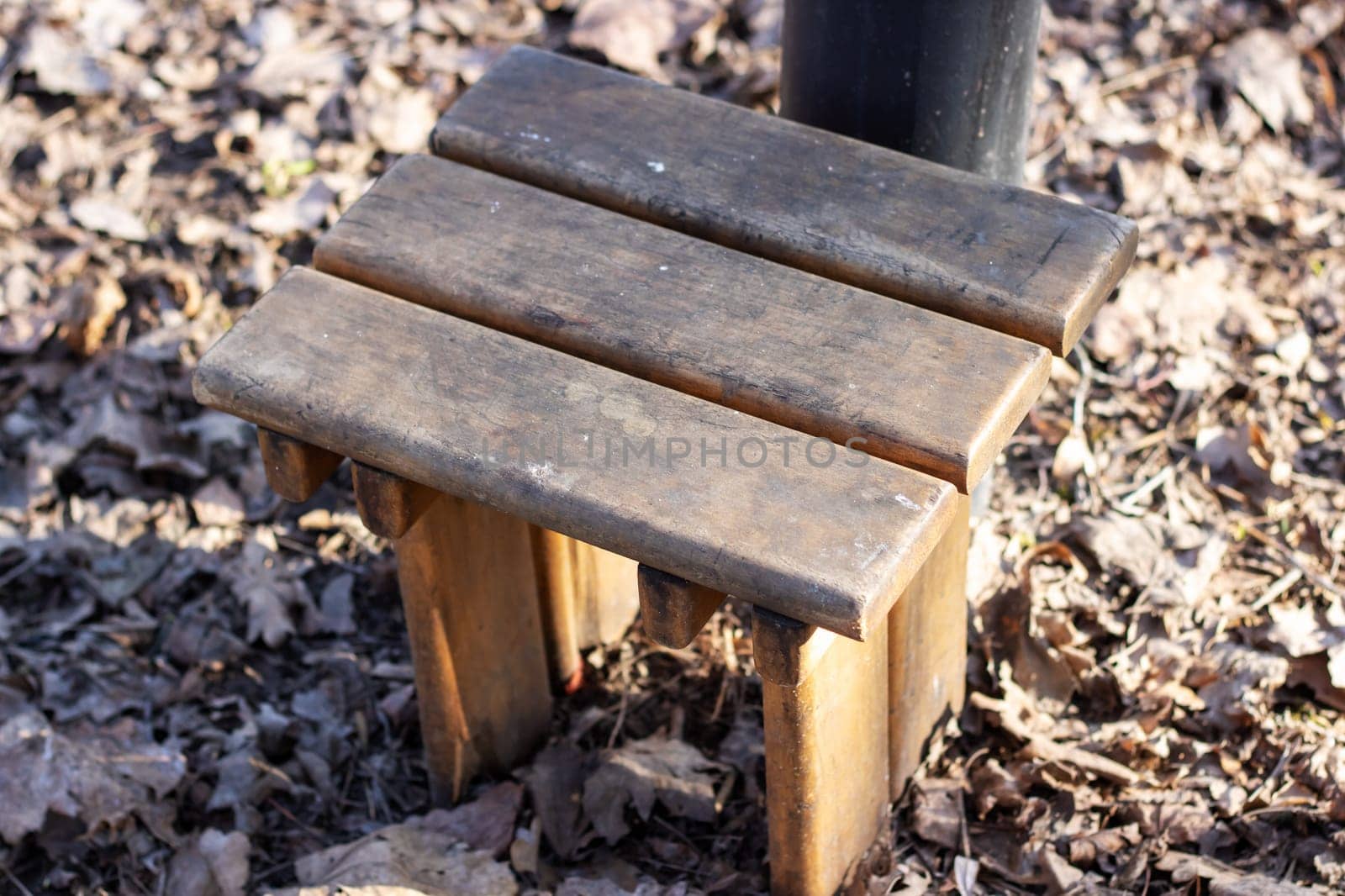 A small wooden bench rests among fallen leaves in a serene outdoor setting near a tree trunk, surrounded by lush greenery. Wood and plants blend harmoniously in this peaceful scene