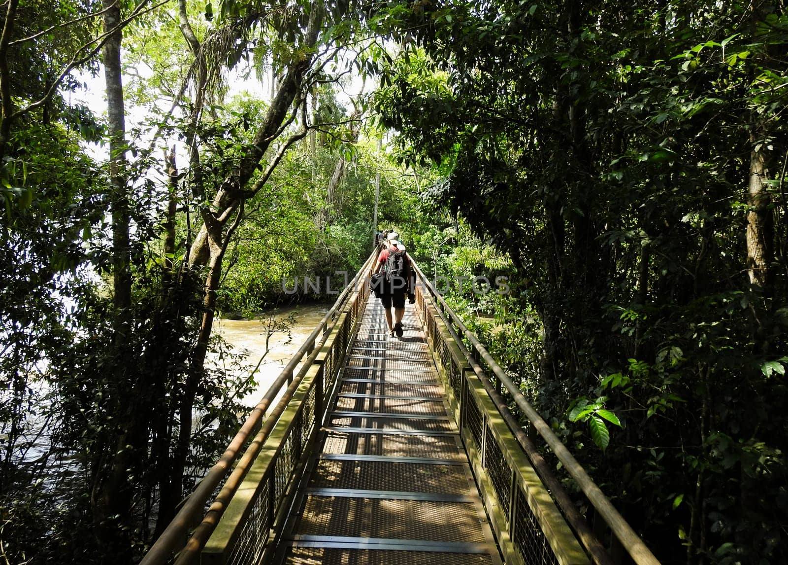 Group of tourists walking along the walkways of Iguazu Park.Misiones by VeroDibe