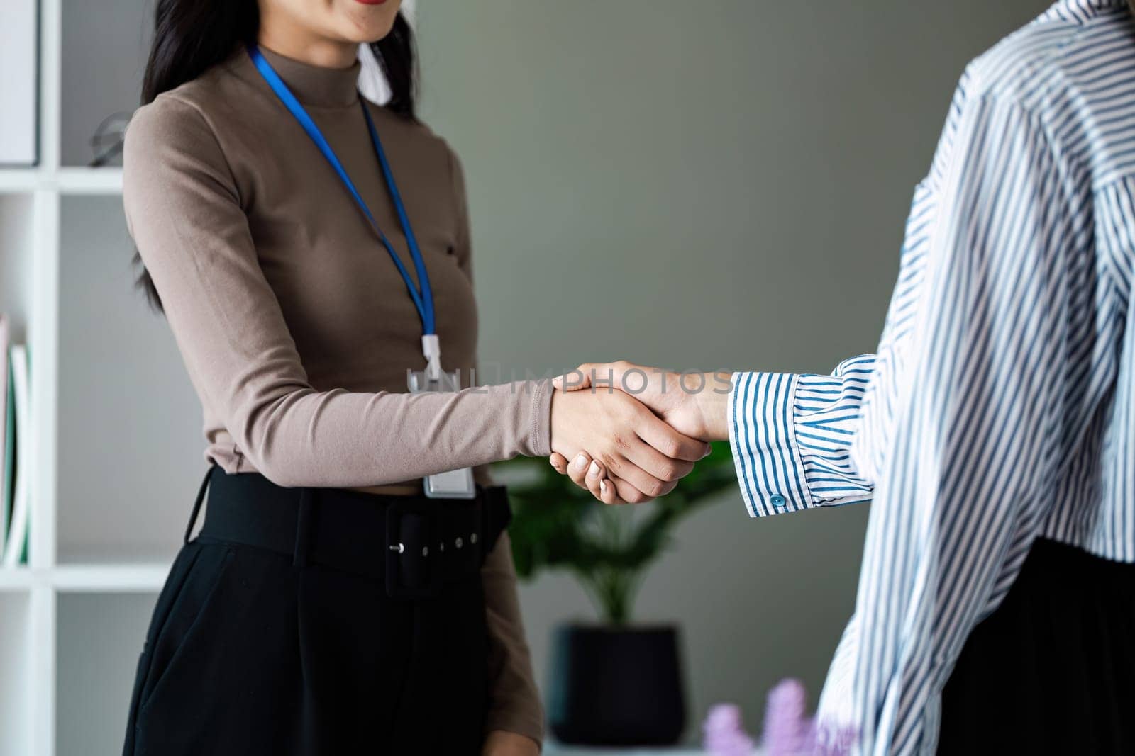 Two businesswomen shake hand after meeting and agreement on partnership and strategy about financial.