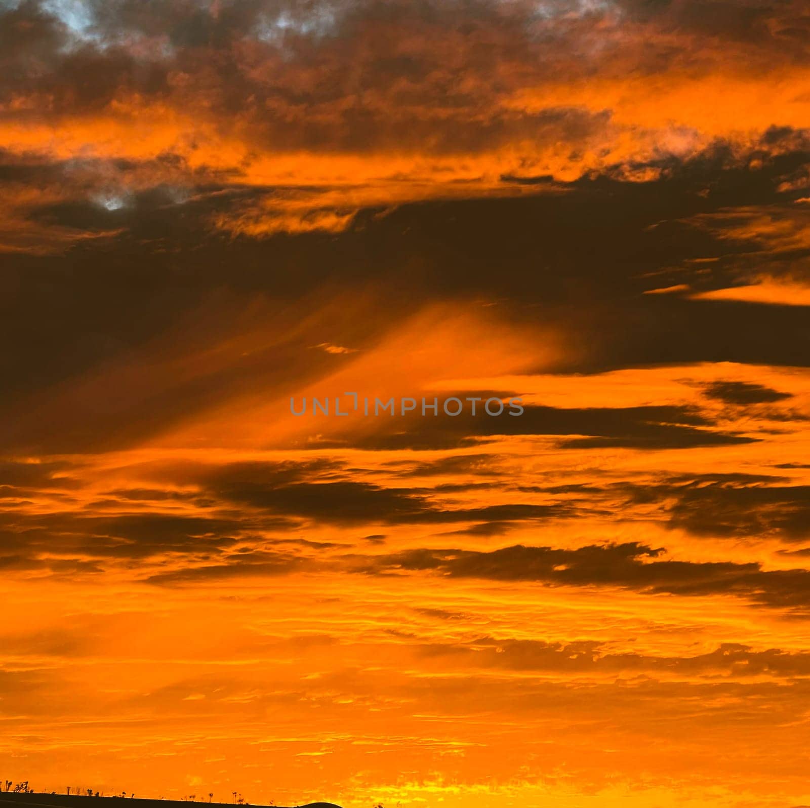 a mystery light from heaven from the sky, In twilight golden atmosphere,Modern sheet structure design,New Banner Business Web Template ,Blur the background light by Costin