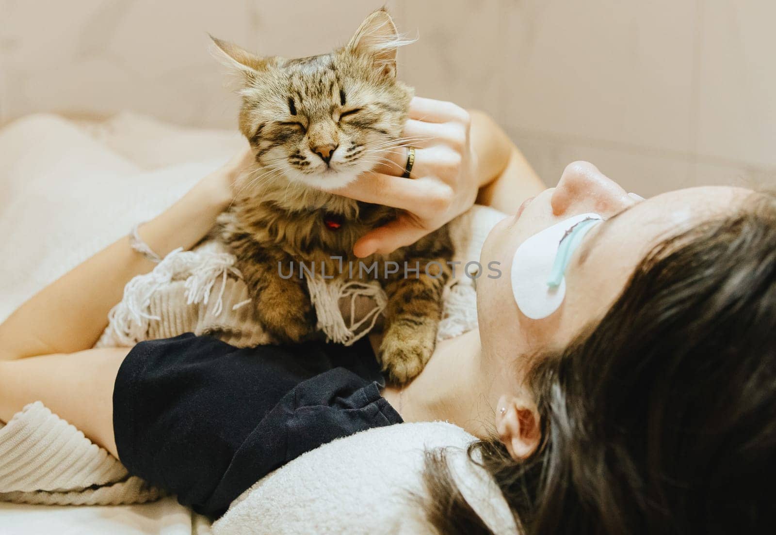 Portrait of a young beautiful purebred sleeping cat lying dozing on the chest of a female client, who scratches her chin and lying on a cosmetology table in a home beauty salon, for whom the master did eyelash lifting, bottom side view close-up with depth of field.