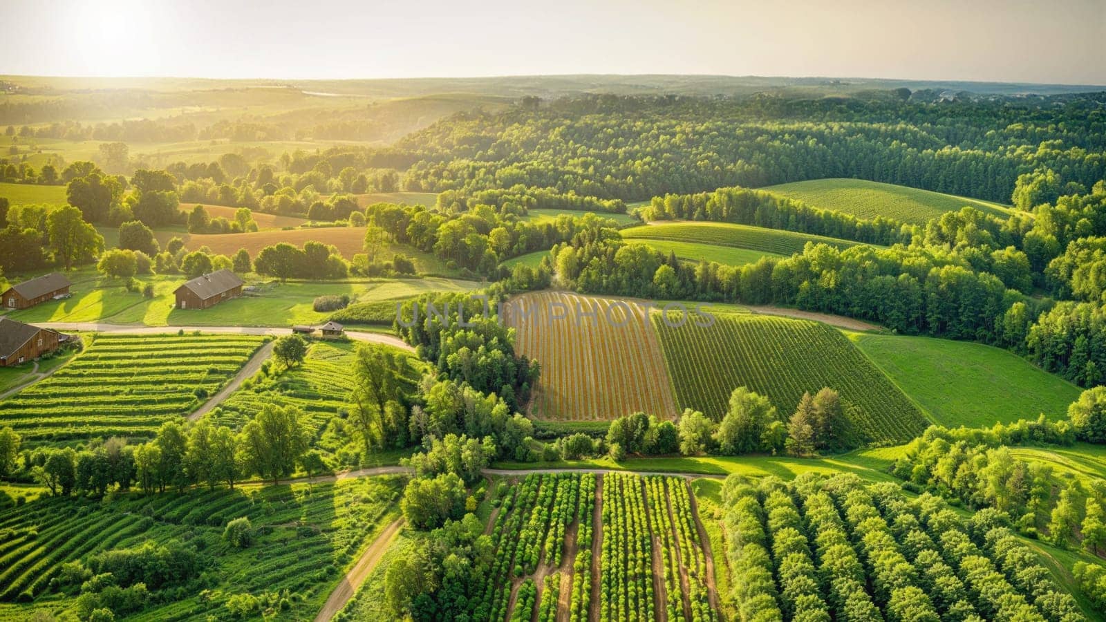 Aerial view of a holistic farm with crop rotations and livestock at sunset.