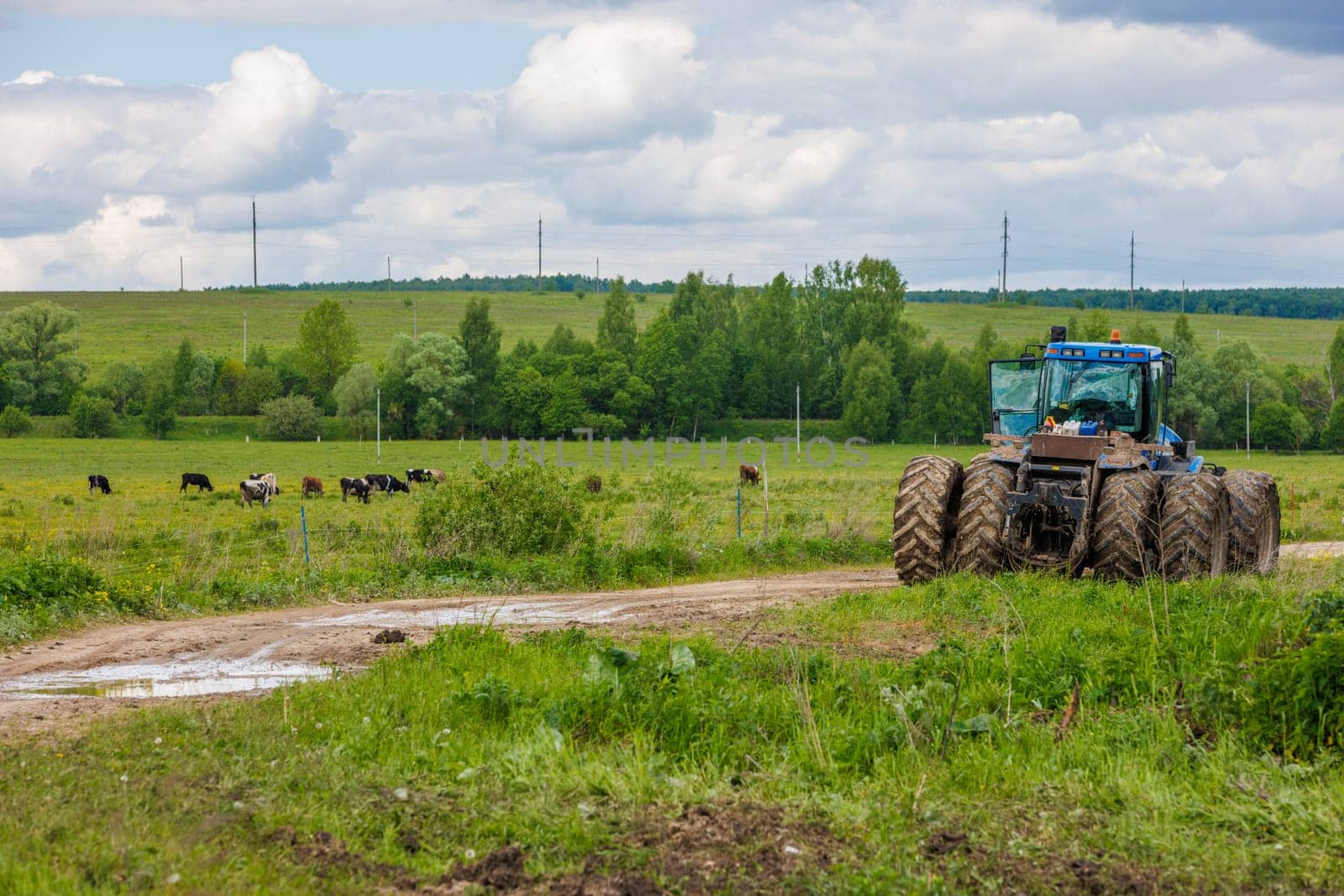 Blue New Holland tractor with double wheels standing near agricultural field at hot sunny day with cows grazing at nearby meadow in Tula, Russia - June 4, 2022
