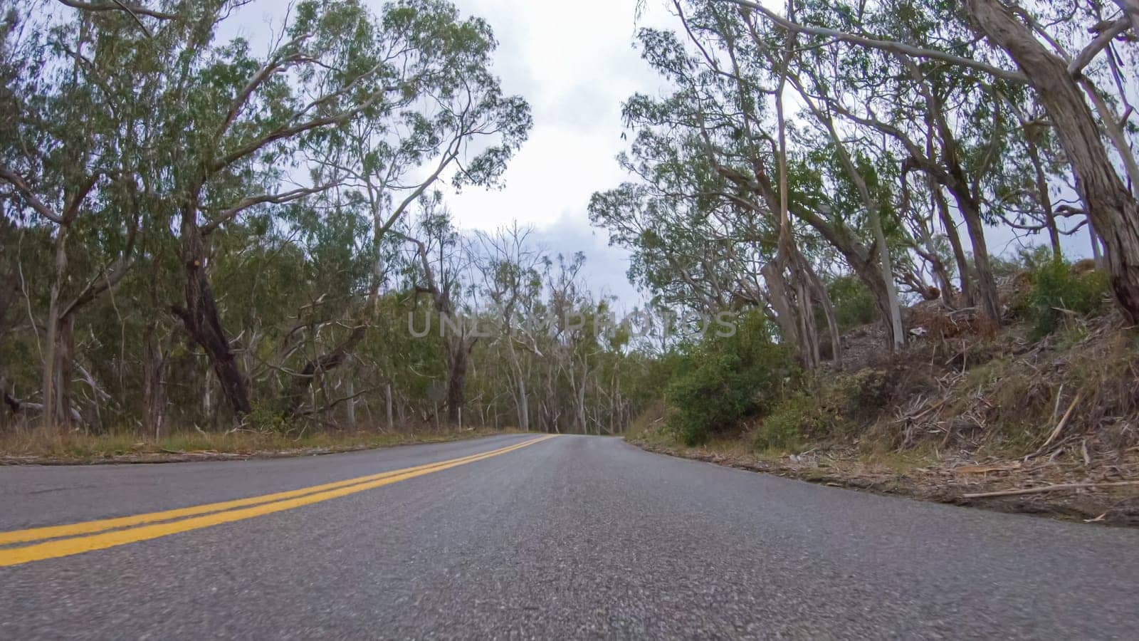 In this serene winter scene, a vehicle carefully makes its way along Los Osos Valley Road and Pecho Valley Road within Montana de Oro State Park.