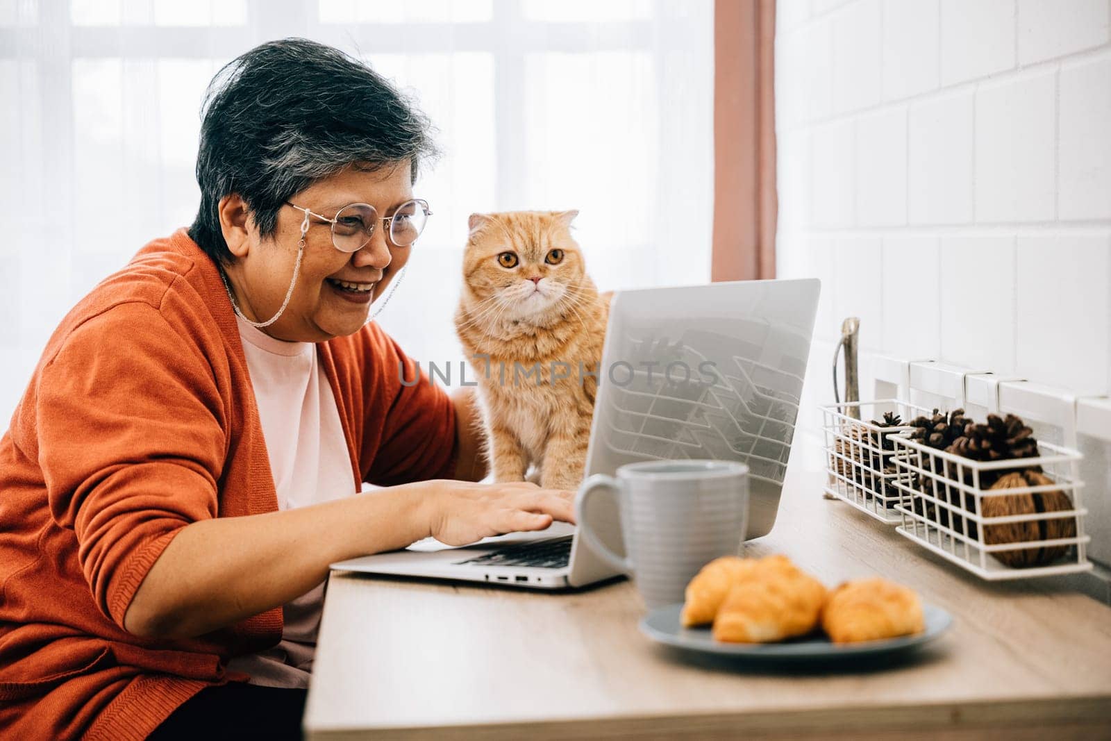 A woman, in her office at home, types on her laptop with her elderly cat perched on the desk. Their friendship and togetherness create a heartwarming scene of productivity and relaxation. pet love