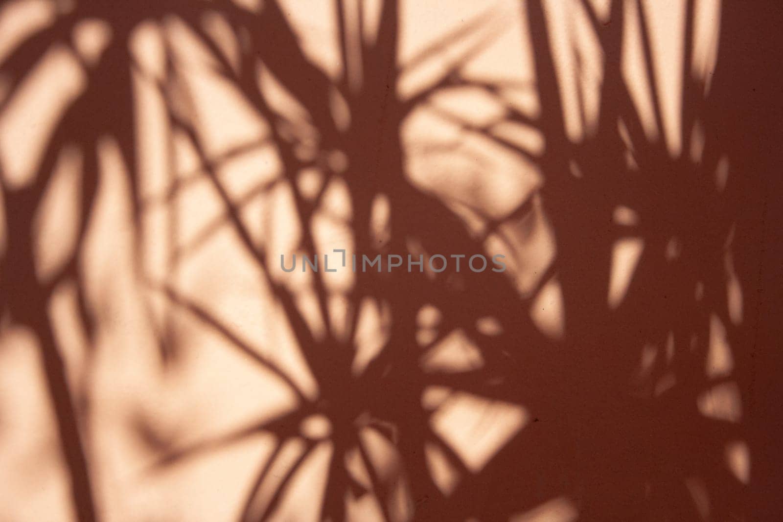 Background wall in soft orange tones with plants shadows. Vintage wall with texture.