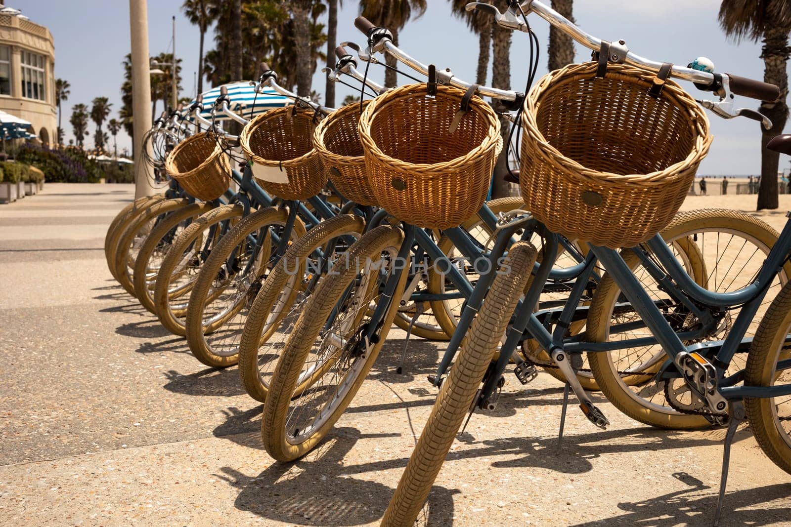 Many Bicycles with Baskets on Beach, Palm Trees and Blue Sky On Background. Bicycle Day. Travel Destination, Vacation. Eco Transportation, Recreation. Horizontal Plane