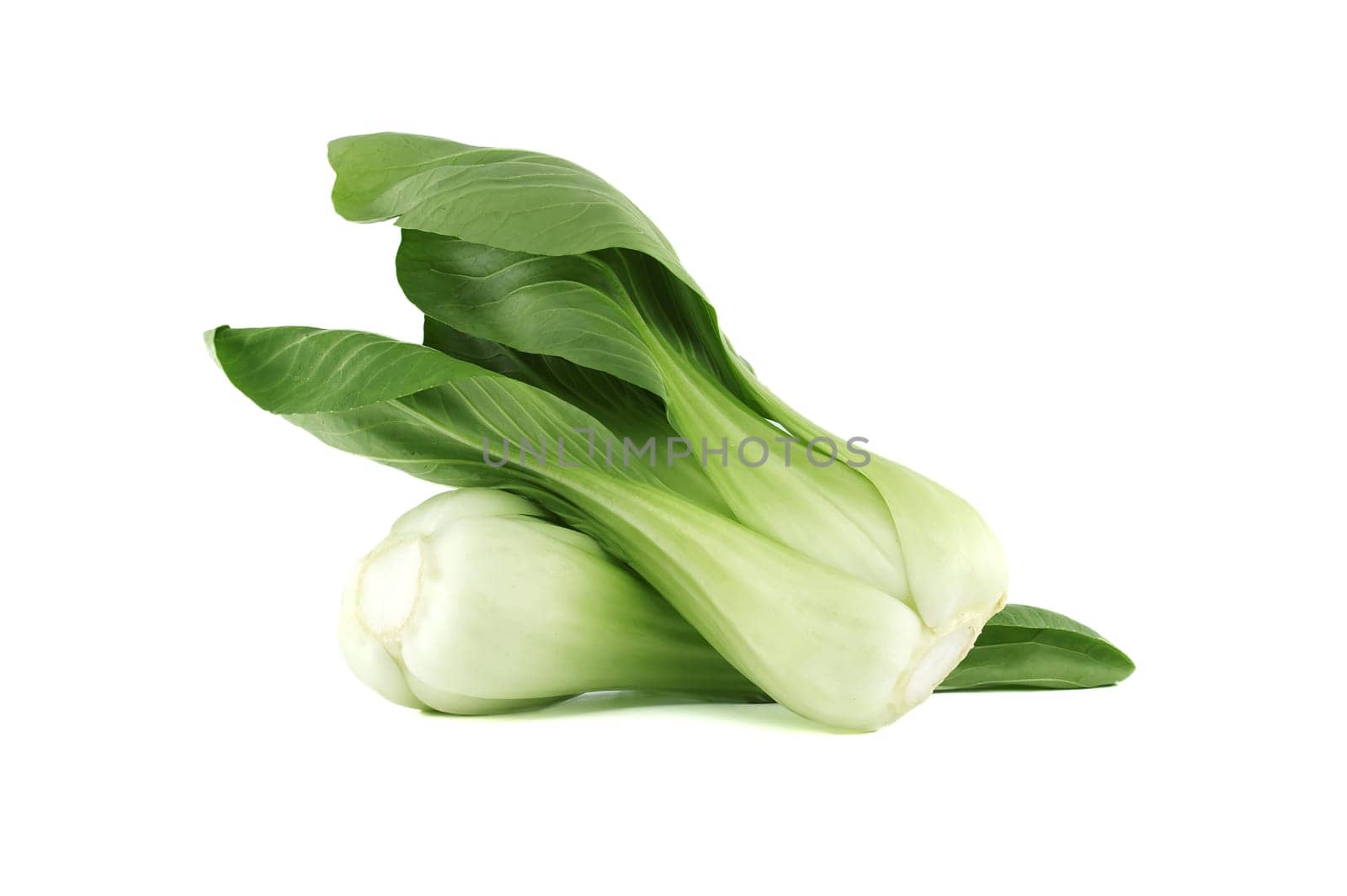 Brassica rapa chinensis, called bok choy, pak choi or pok choi isolated on white background