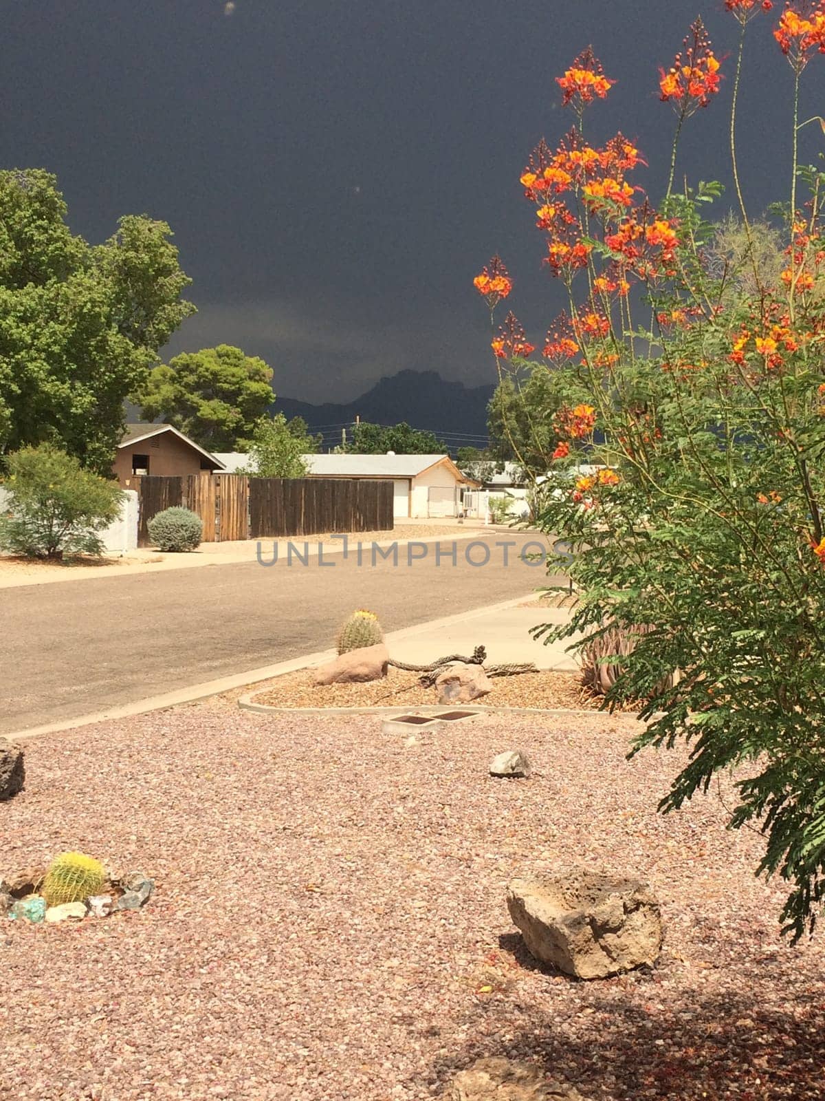 Sunny and Stormy, Summer Storm in Apache Junction, Arizona Neighborhood. High quality photo