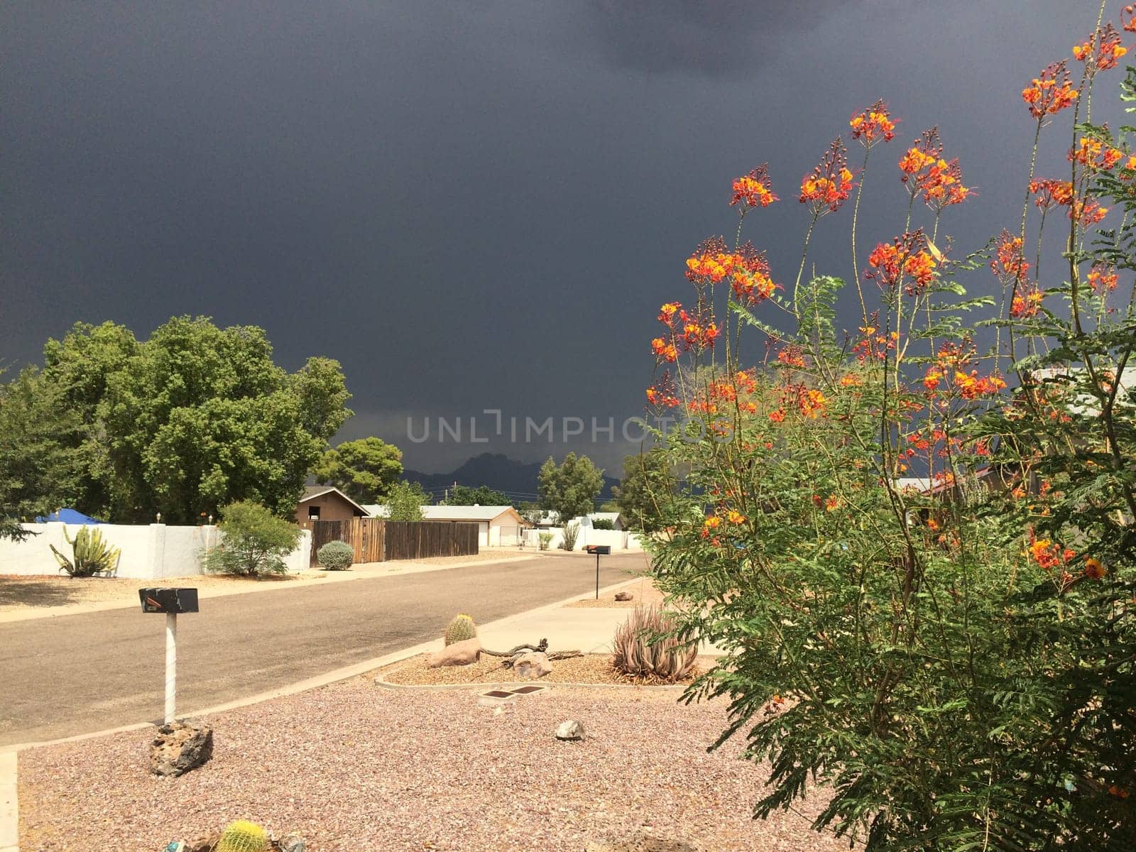 Dark Sky, Summer Storm in Apache Junction, Arizona Neighborhood. High quality photo
