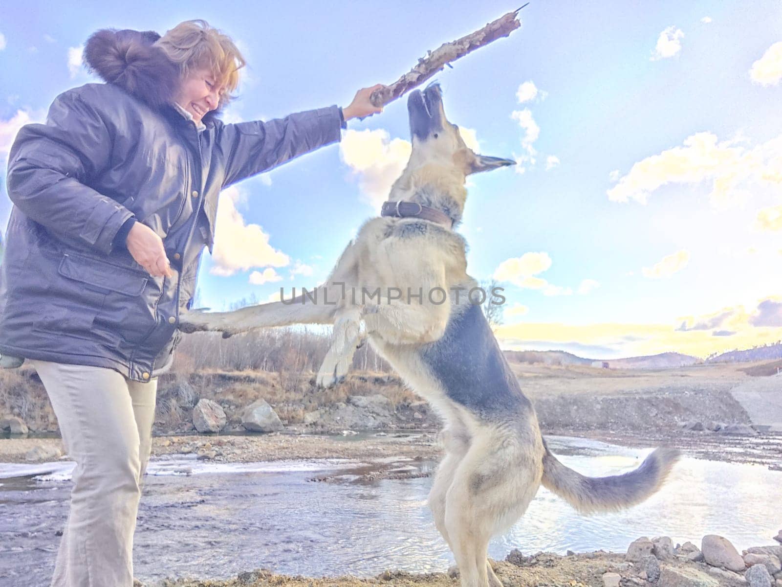 Adult girl with shepherd dog Playing with stick by the water and taking selfie near water of lake or river. Middle aged woman and big pet on nature