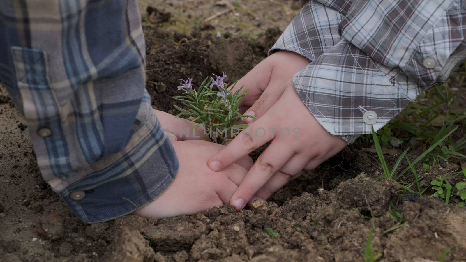 Boy planting a new tree, concept Save the Earth, save the world, save planet, ecology concept.photo