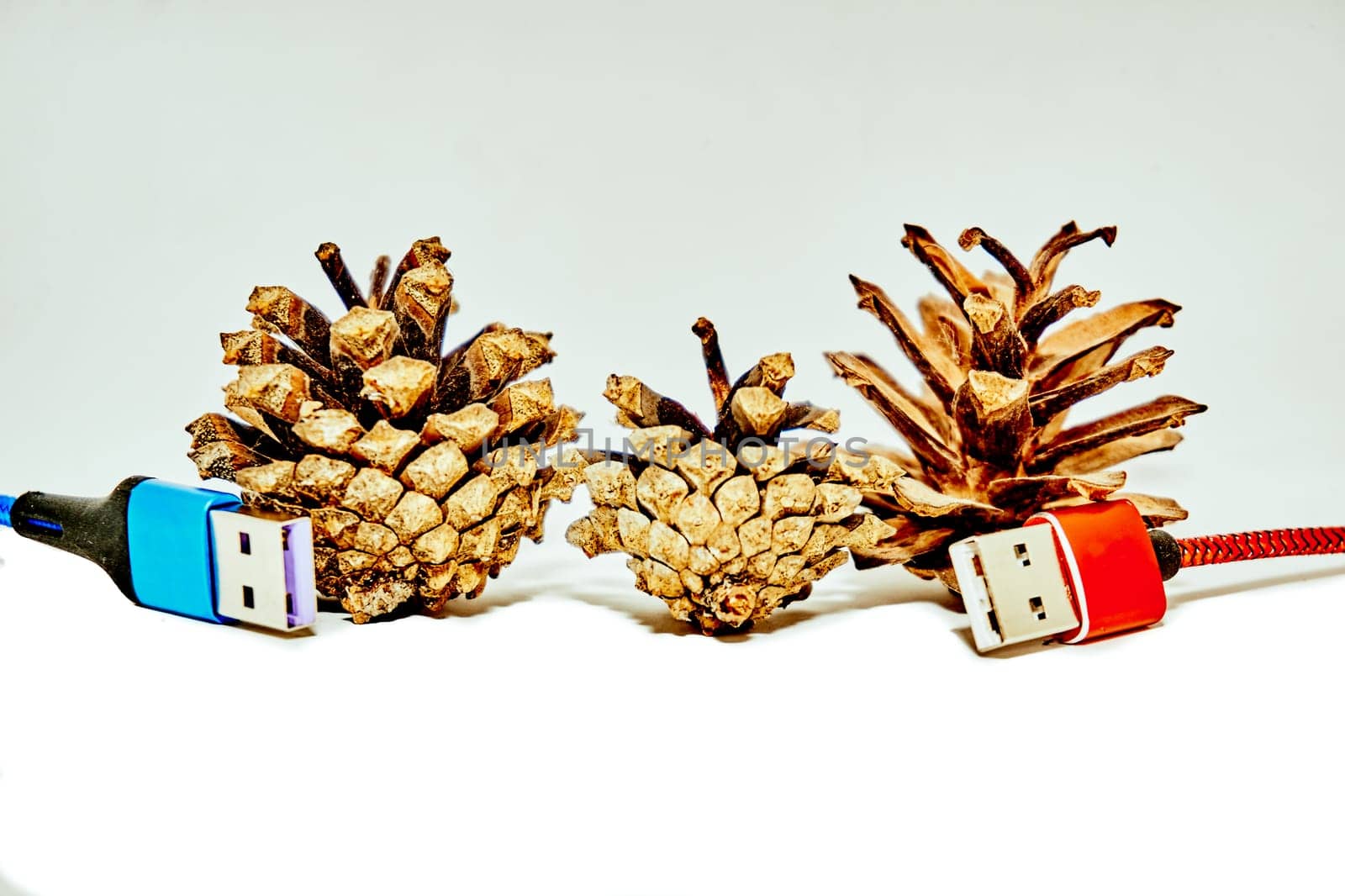 Connection information. Red and blue usb wires cables with pine cones by jovani68