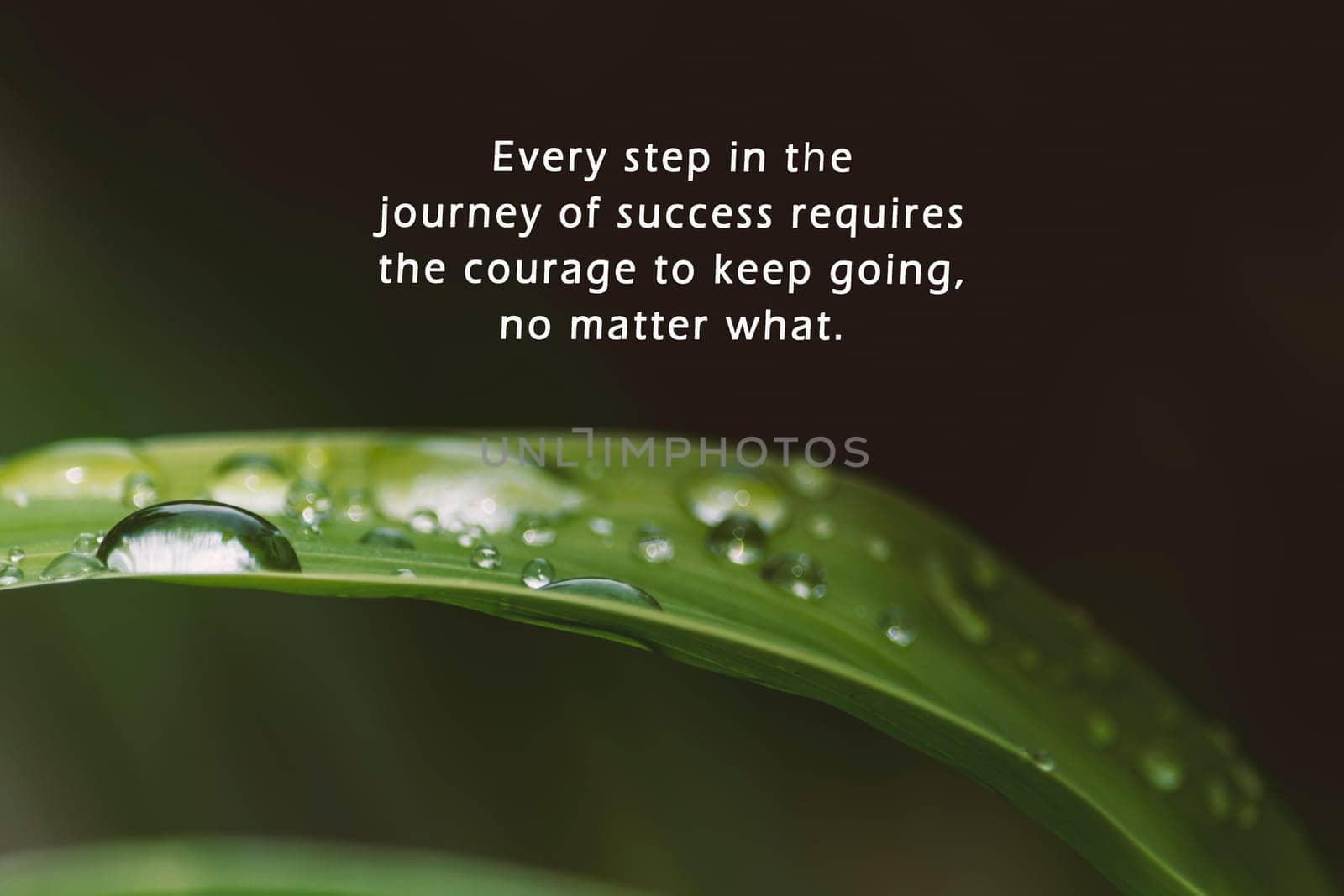 Motivational quote with raindrops on fresh green leaves on a dark background - Every step in the journey of success requires the courage to keep going, no matter what.