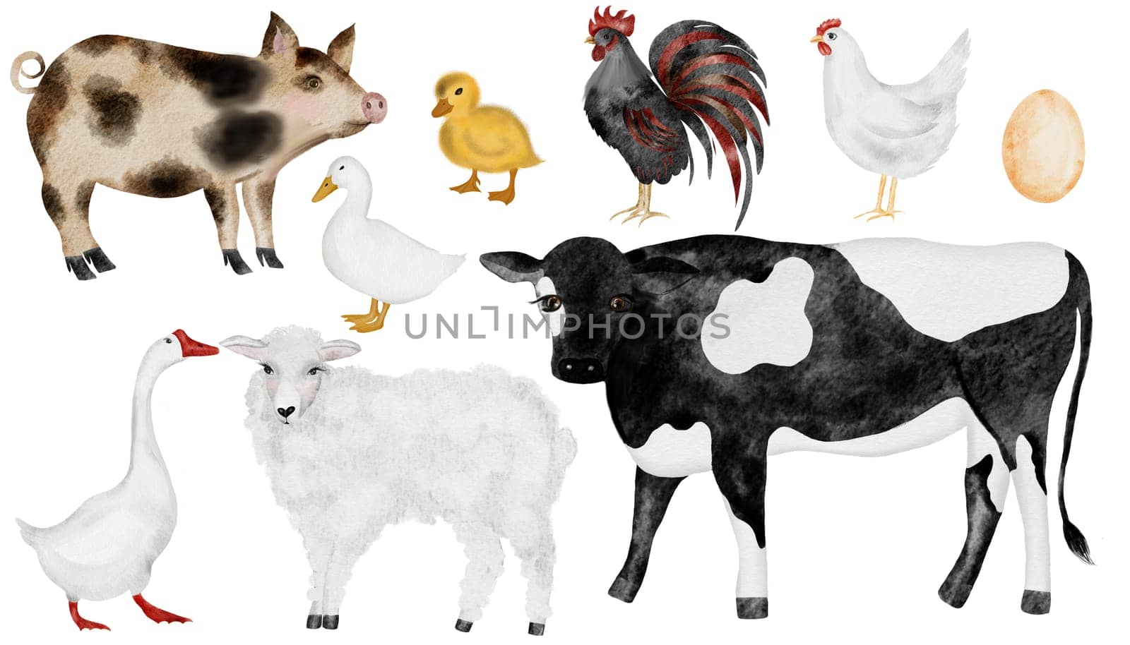 Set of farm animals. Cute watercolor illustration of pets. Hand drawn cow and goose, sheep and chicken, rooster and duck, pig and sheep. Isolated illustrations of livestock on an isolated white background. For children's educational cards. High quality illustration