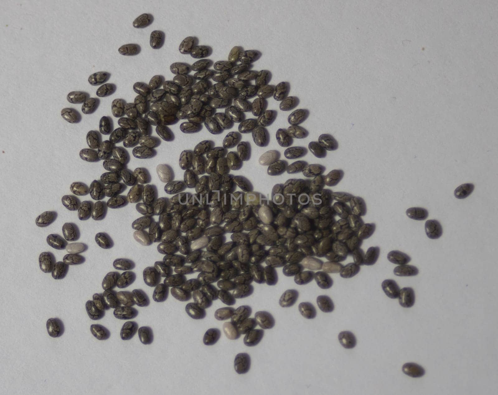 Chia grains, source of vitamins and omega-3.Close-up photo.