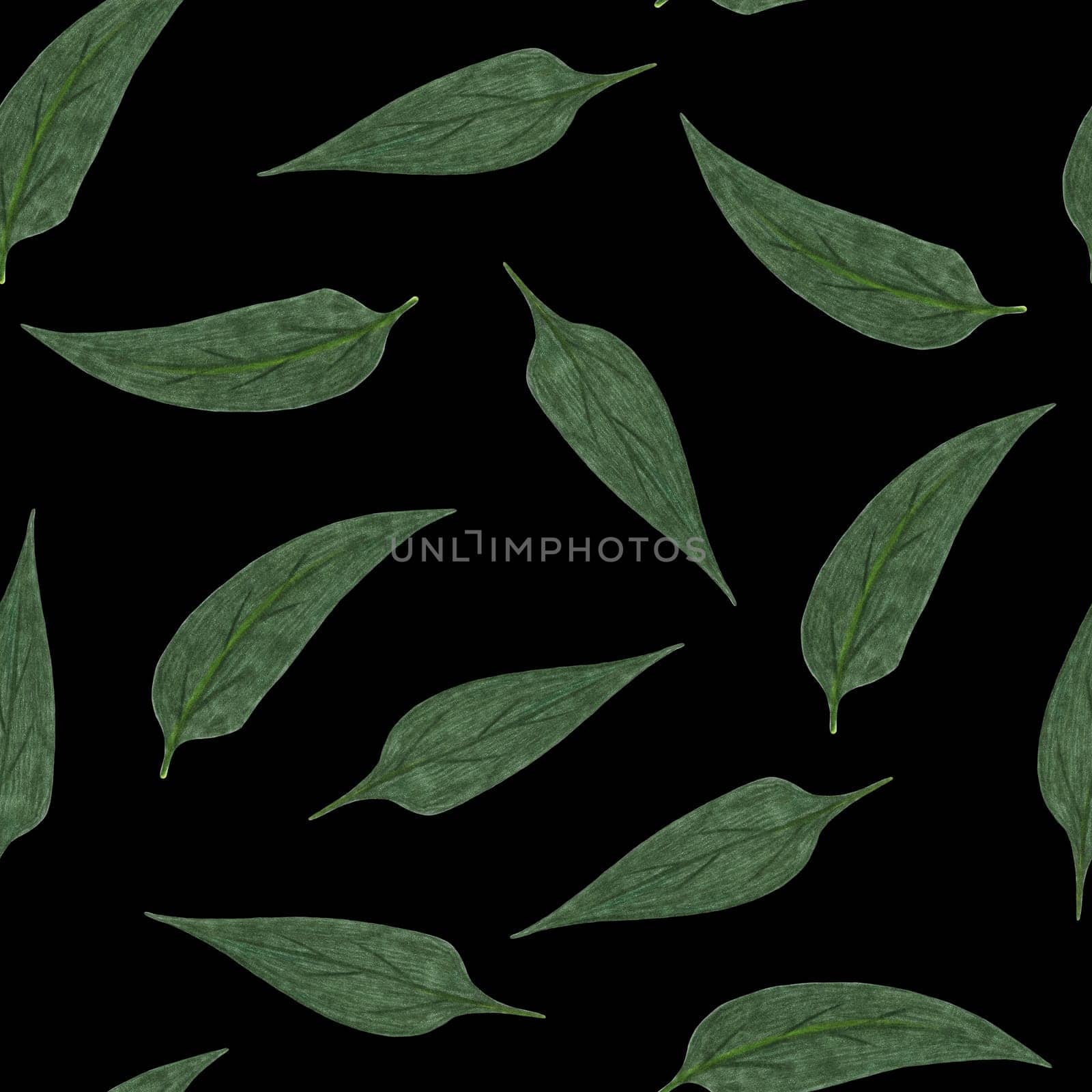 Topinambur Green Leaves Seamless Pattern. Hand Drawn Floral Digital Paper on Black Background.