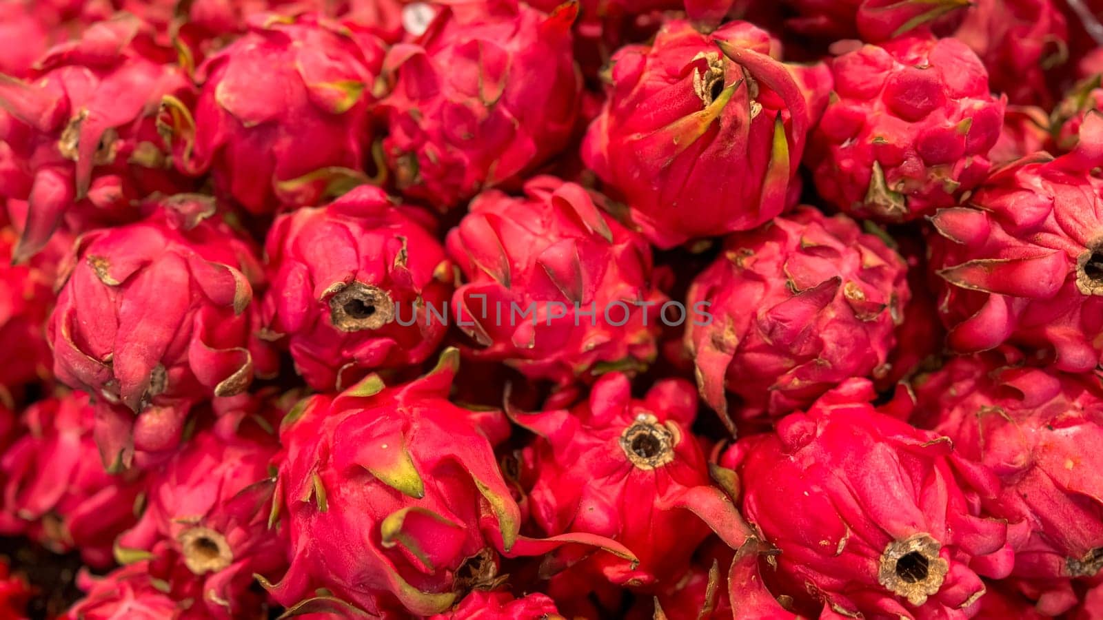 Fresh produce of dragon fruits or Hylocereus undatus 0r buah naga in Indonesian at the local market, healthy fresh fruit for salad or juice or any cooking options good for cooking recipes