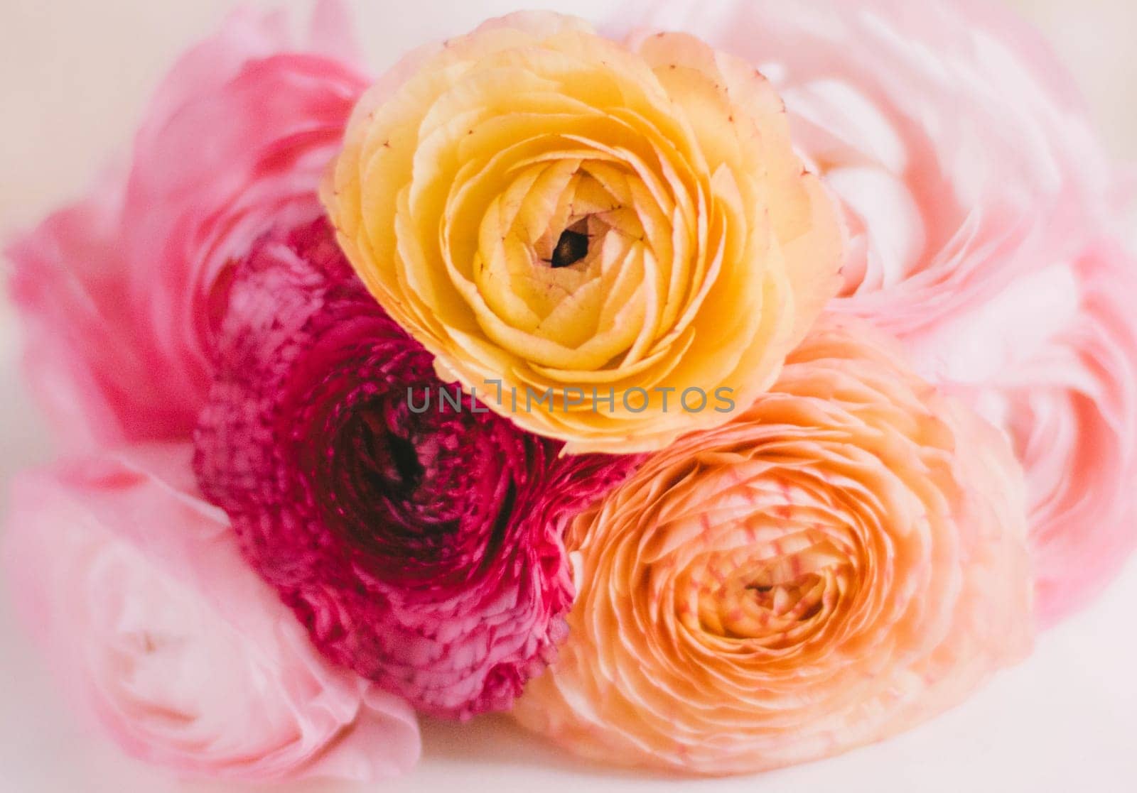 rose flowers bridal bouquet - wedding, holiday and floral garden styled concept, elegant visuals