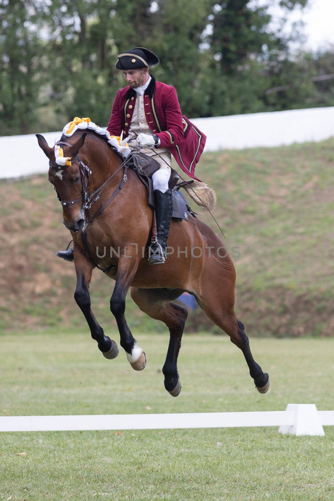 19 may 2024, Mafra, Portugal - competition in military academy - man in a red coat riding a horse. The horse is jumping over a white line. The man is wearing a hat and a vest