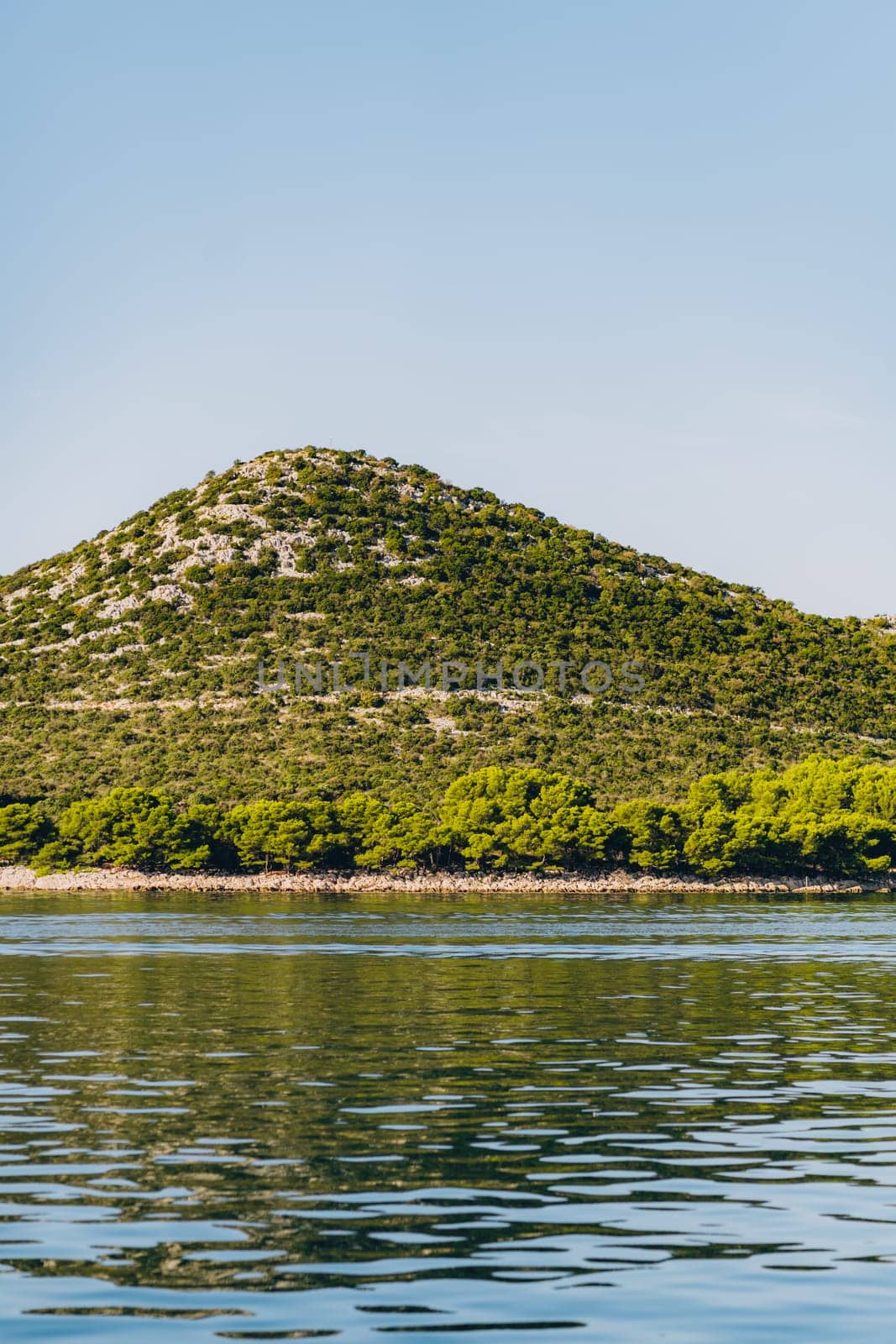 Summer landscape with pine trees on hill and rocky beach Dugi Otok island in Adriatic Sea, Croatia