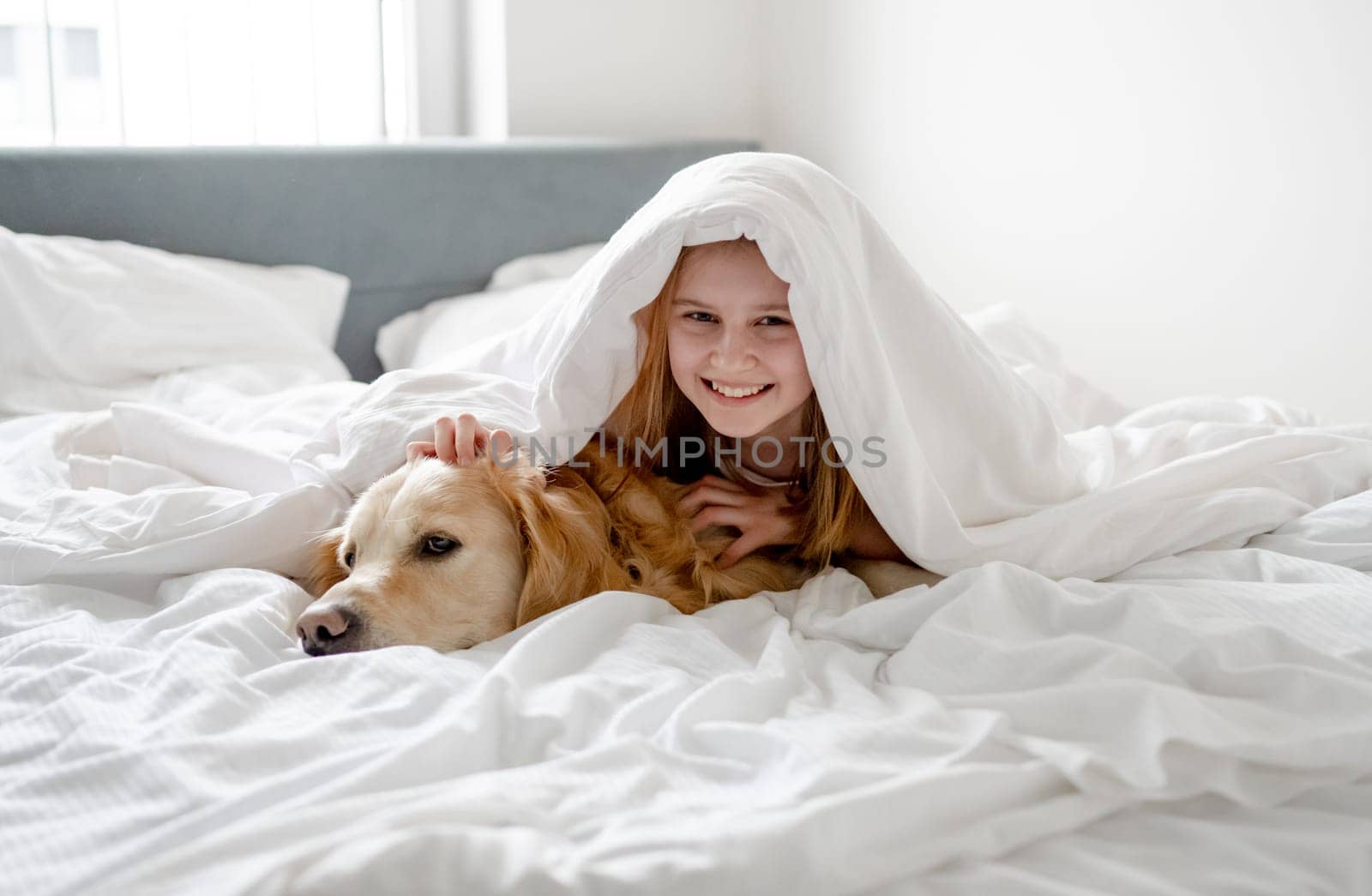 Girl Lies Under Blanket With Her Golden Retriever Dog