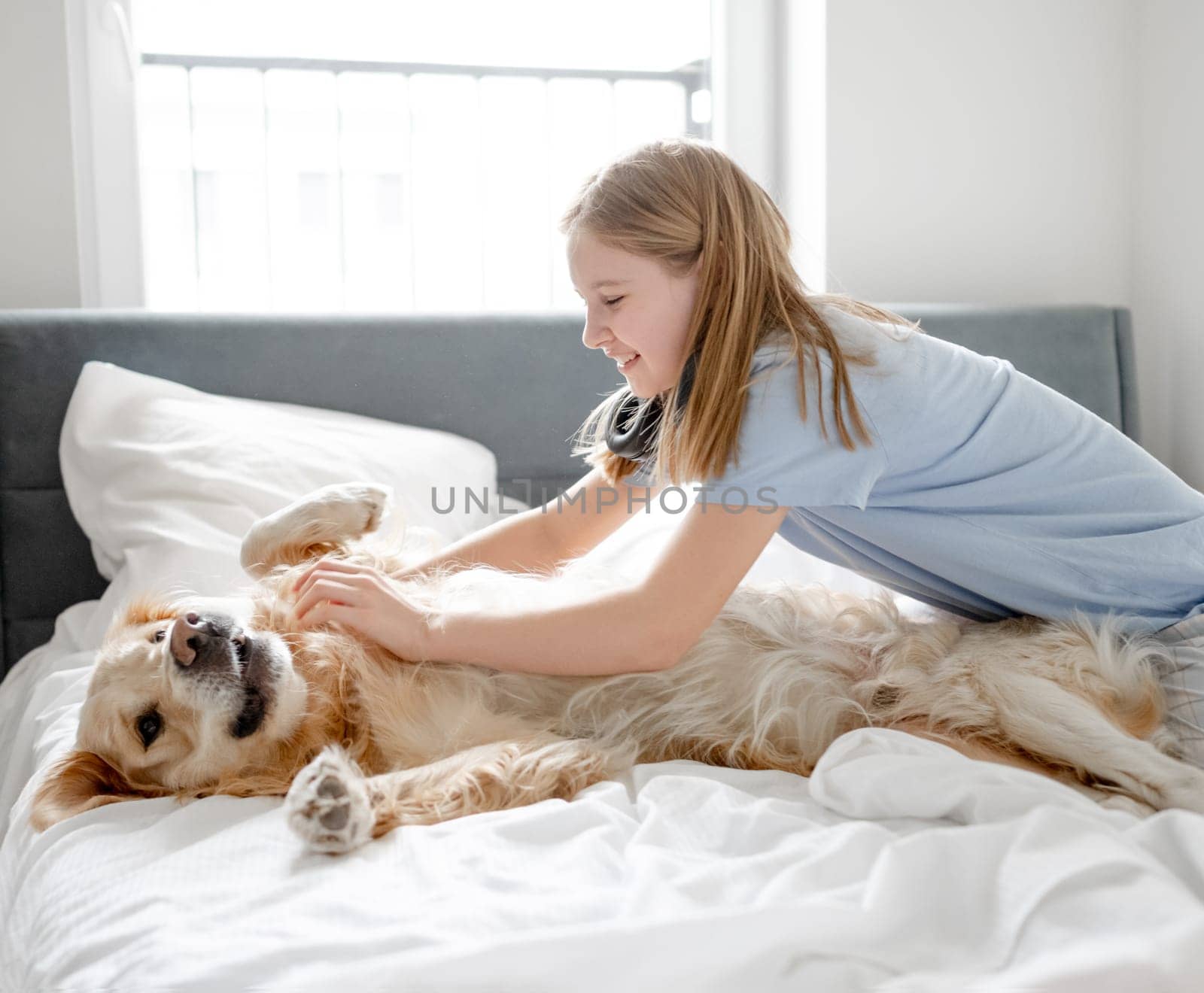 Girl Plays With Golden Retriever On Bed by tan4ikk1