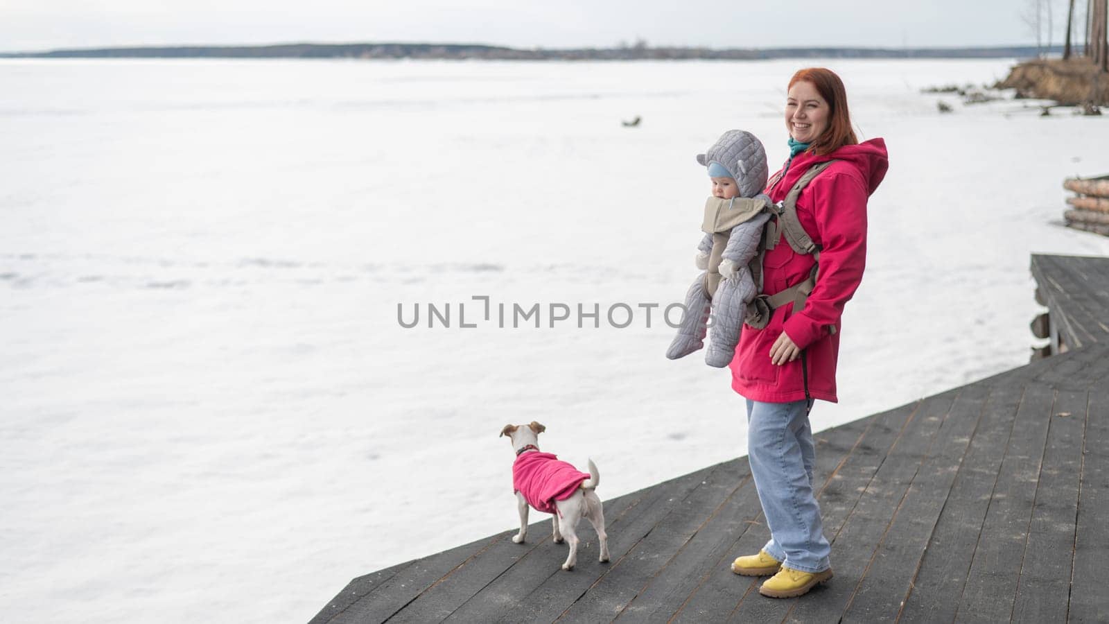 Caucasian woman walks with her son in an ergo backpack and a Jack Russell terrier dog in nature in winter