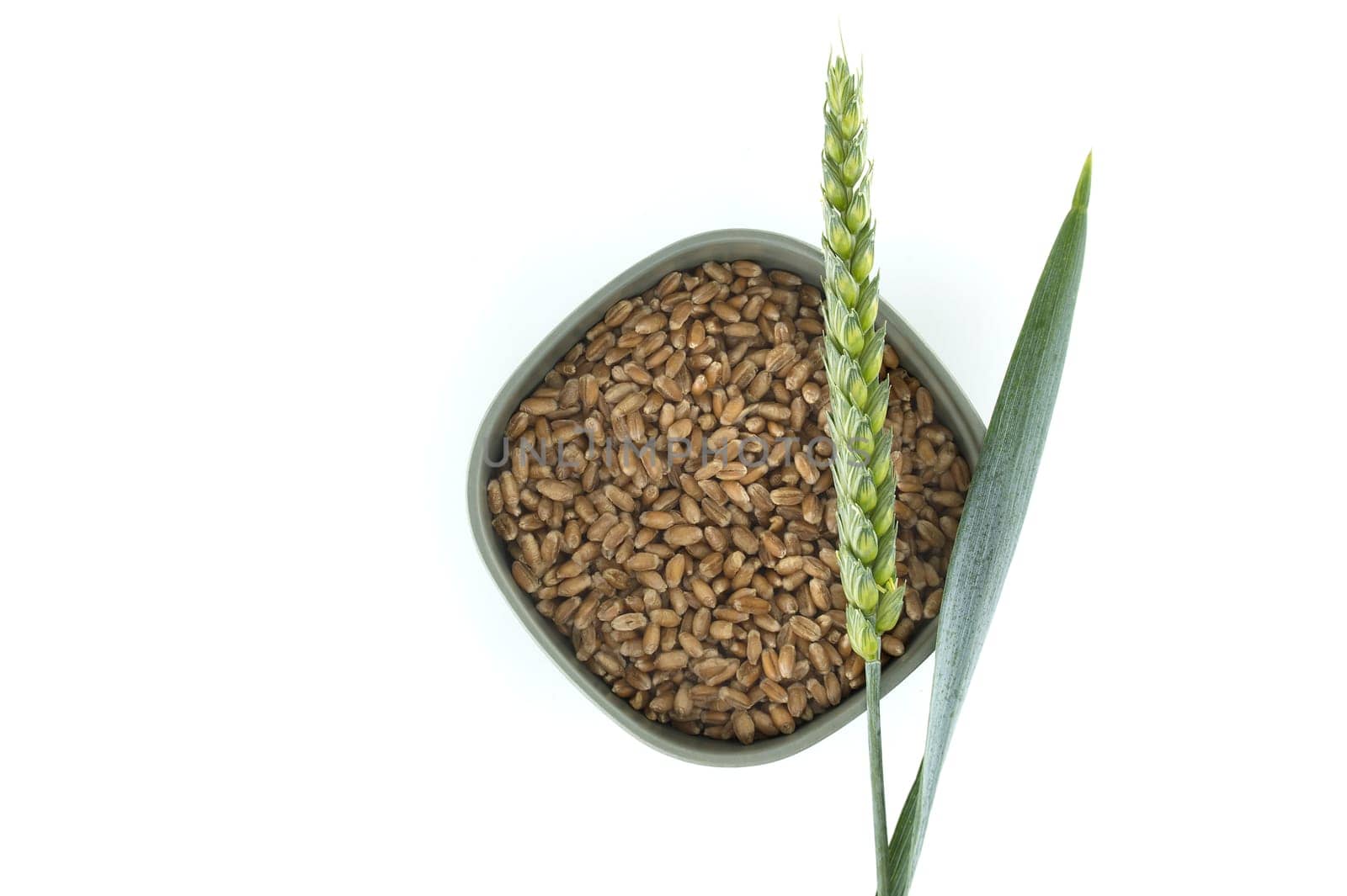 Close-up image of wheat grains in a bowl accompanied by a wheat spike and leaf isolated on a white background.