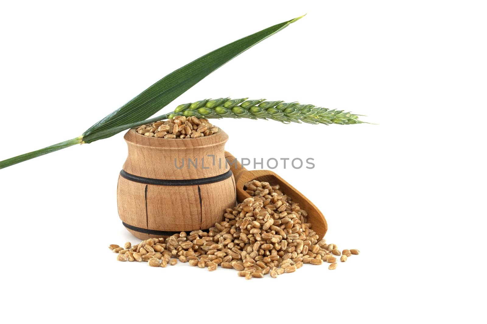 Closeup of a wooden barrel and scooper filled with wheat grains, positioned next to wheat ears isolated on a white background. Perfect for agricultural and food industry themes.