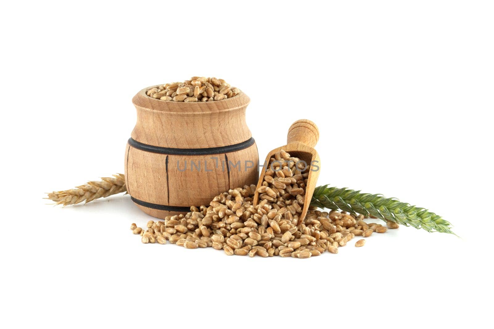 Close-up of a wooden barrel and scooper filled with wheat grains, positioned next to wheat ears isolated on a white background. Perfect for agricultural and food industry themes.