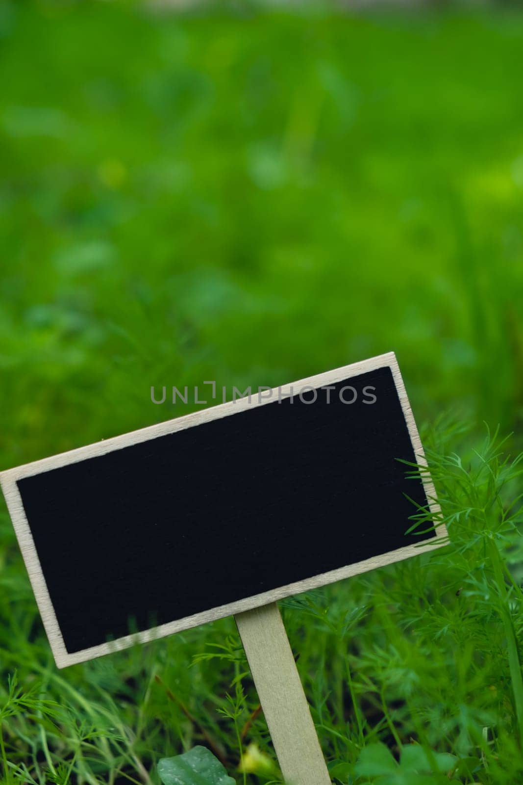 Blank Black billboard against green field garden fresh green herb dill. Empty mockup template Blackboard label at farm land. Copy space banner for your text. Agricultural landscape advertisement sample