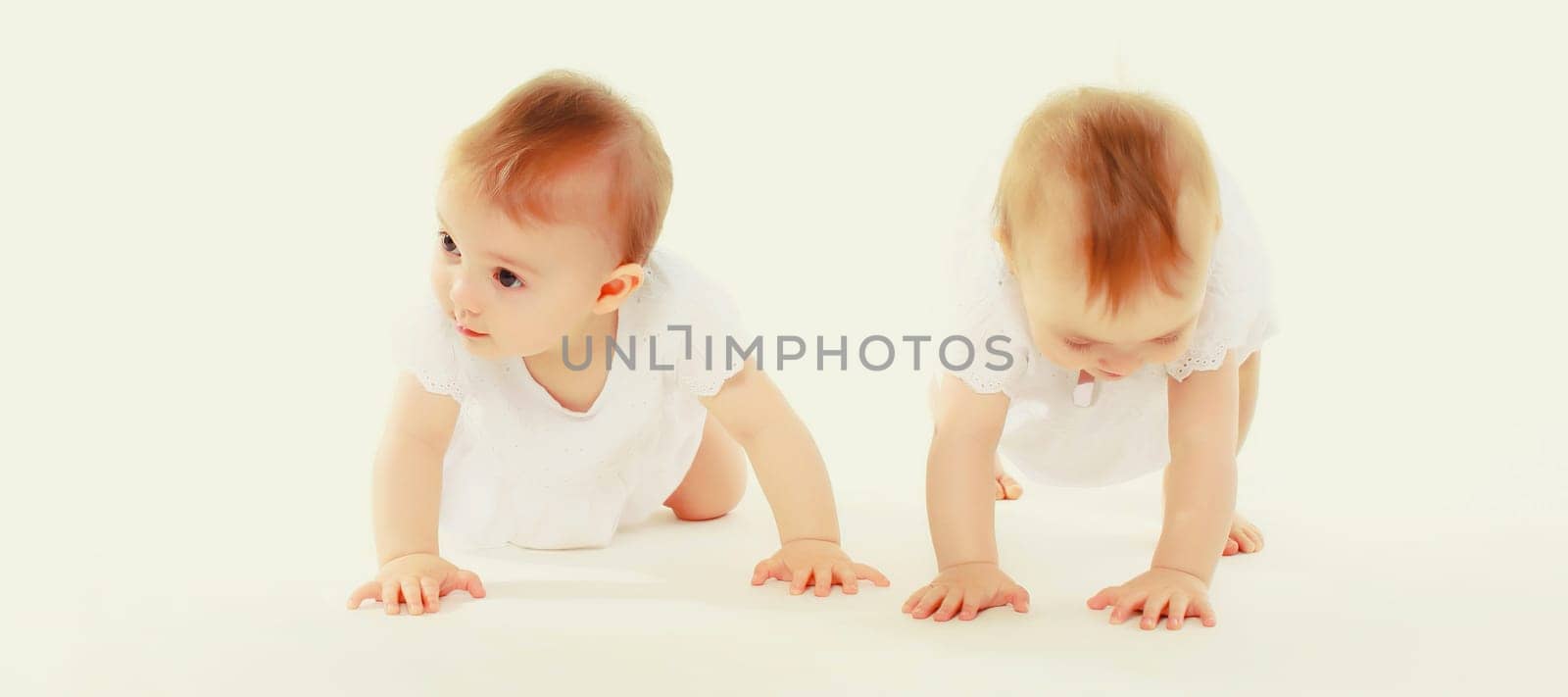 happy cute two twin babies crawling and playing on the floor on white studio background