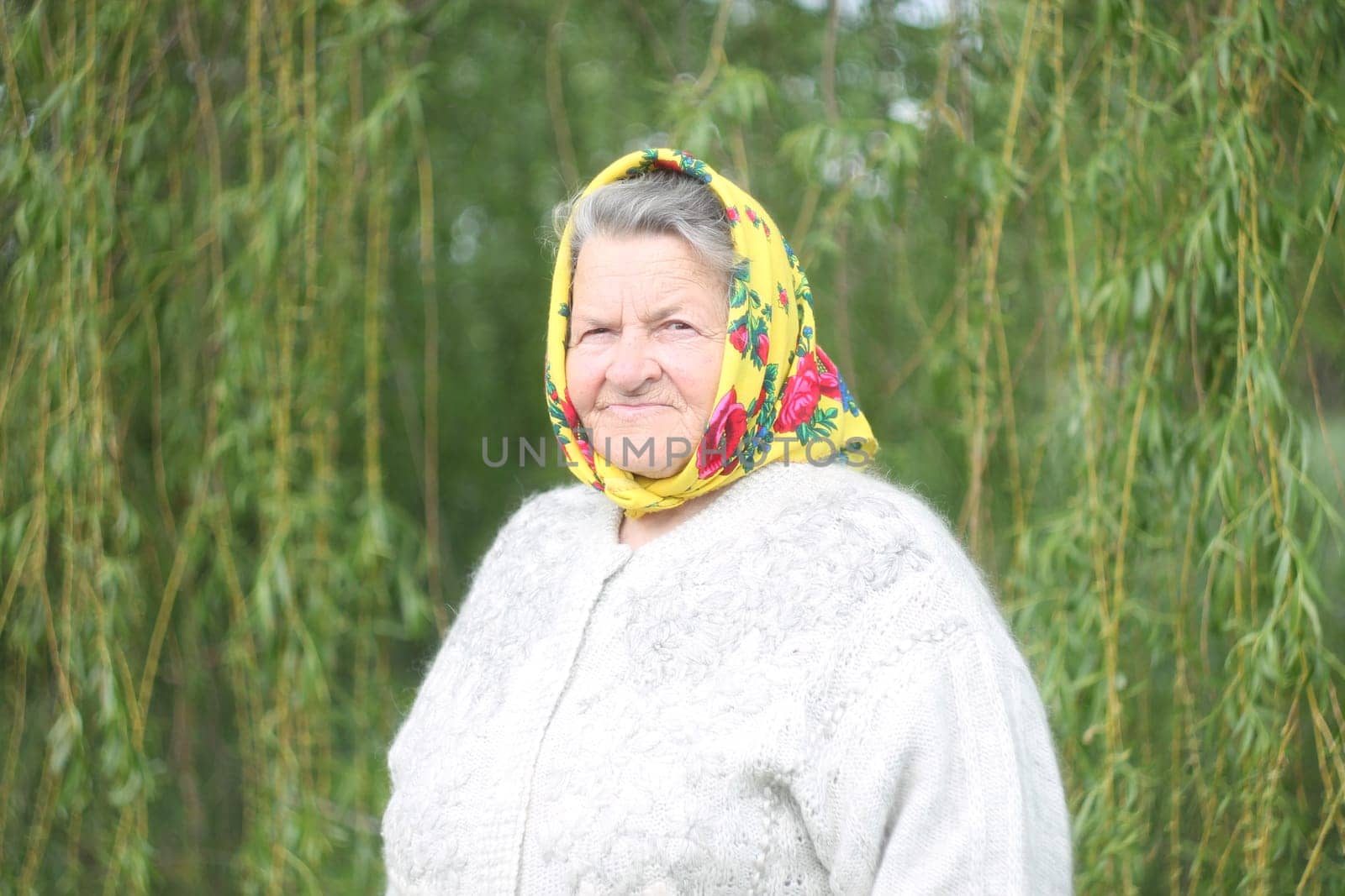 Close up portrait of a senior woman in a garden. Very old lady of eighty years old outdoor in summer. High quality photo