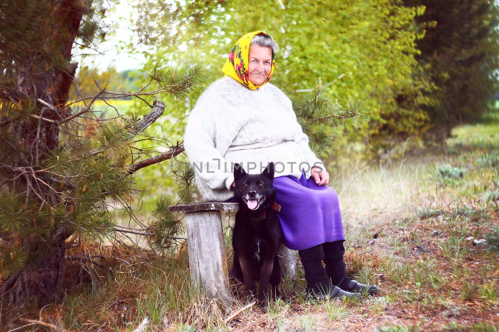 Elderly grayhaired in yellow headskarf woman with her lovely black dog in the park. by VeronikaAngo