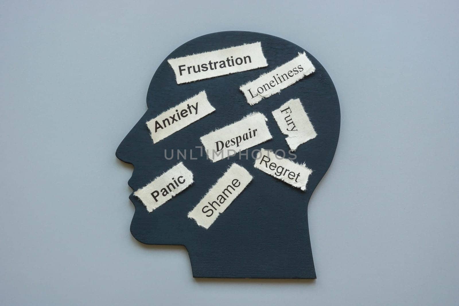 Model of a head and words anxiety frustration, panic and despair as negative emotions.