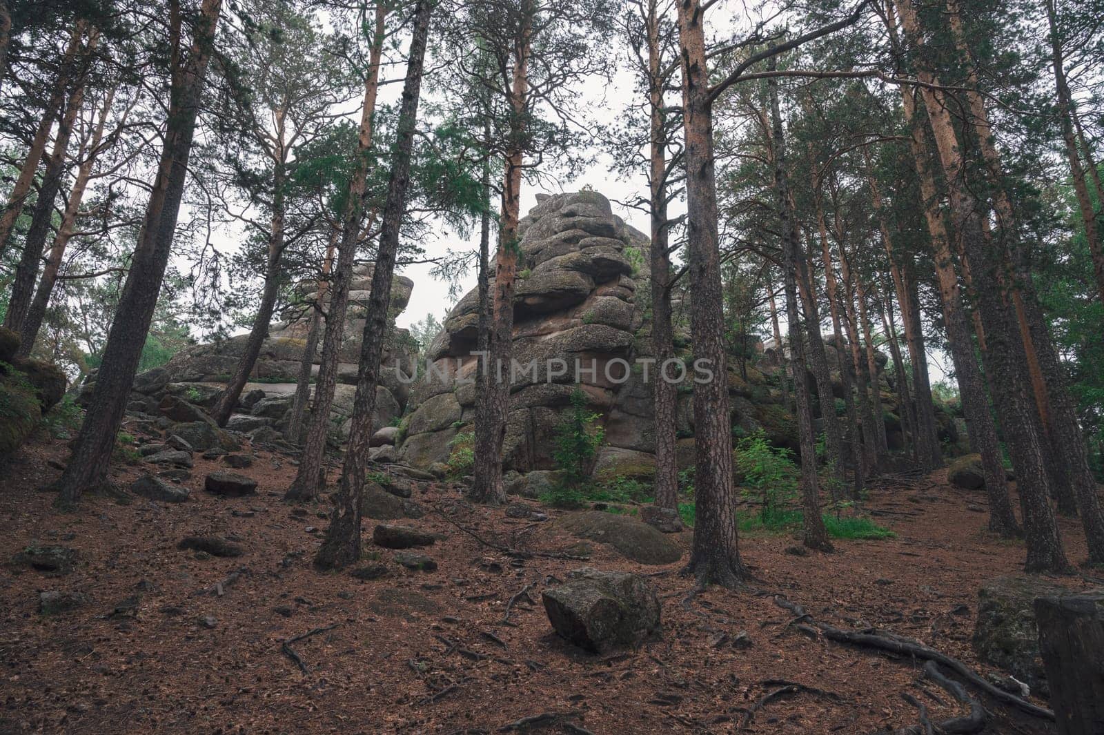 Taiga forest and rocks of the Stolby nature reserve park, Krasnoyarsk, Russia