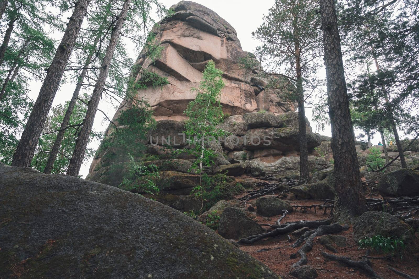 Taiga forest and rocks of the Stolby nature reserve park, Krasnoyarsk, Russia