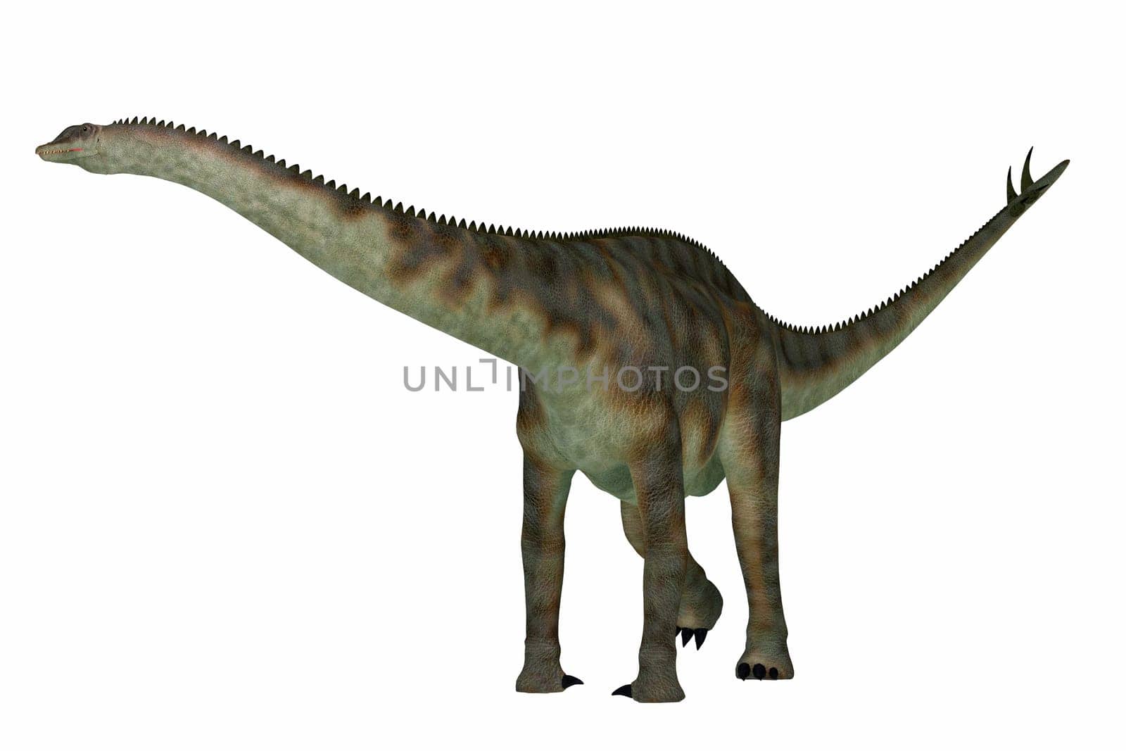 Spinophorosaurus was a herbivorous sauropod dinosaur that lived in the Jurassic Period of Niger, Africa.