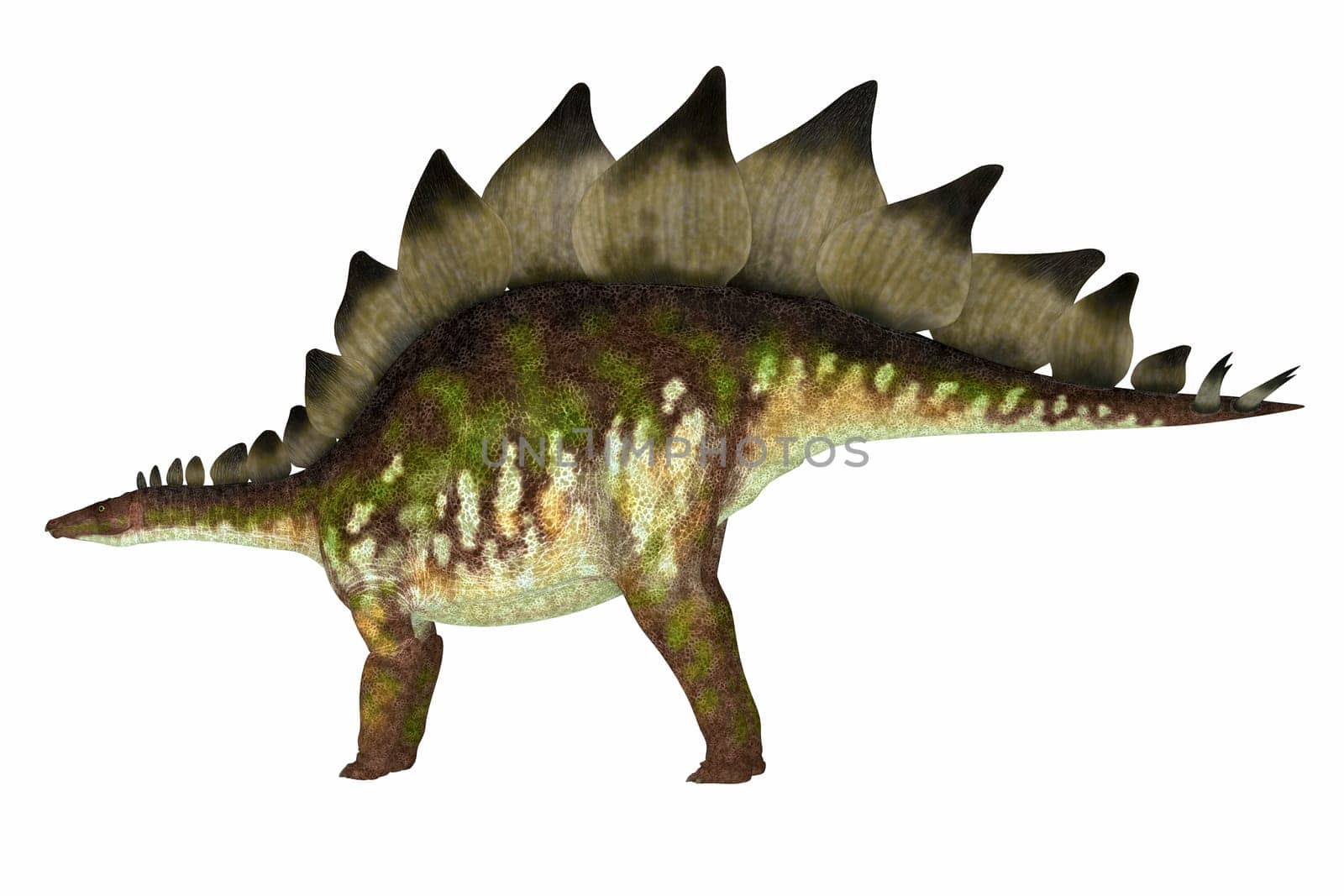 Stegosaurus Dinosaur Side View by Catmando