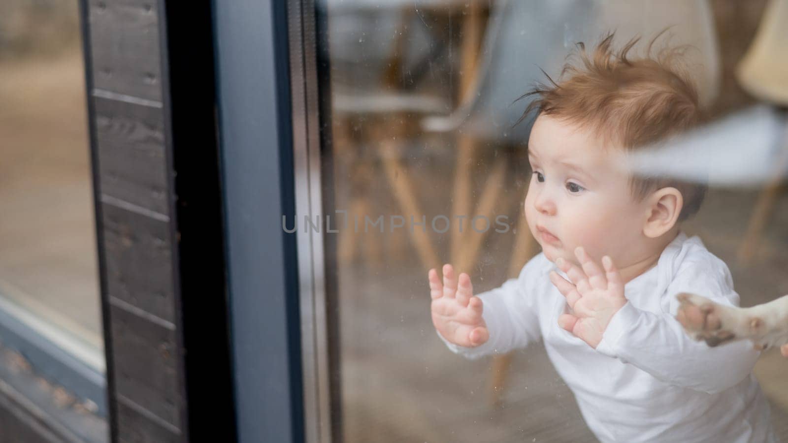 Cute baby boy and Jack Russell terrier dog looking through the patio window. by mrwed54